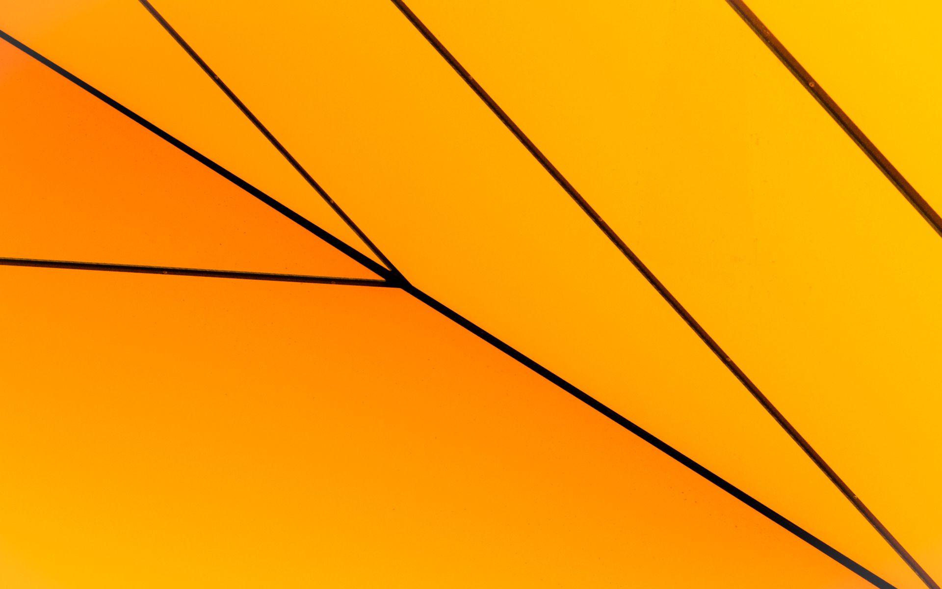 Windows 8.1 HD Wallpaper Gallery (85 Plus) PIC WPW401014