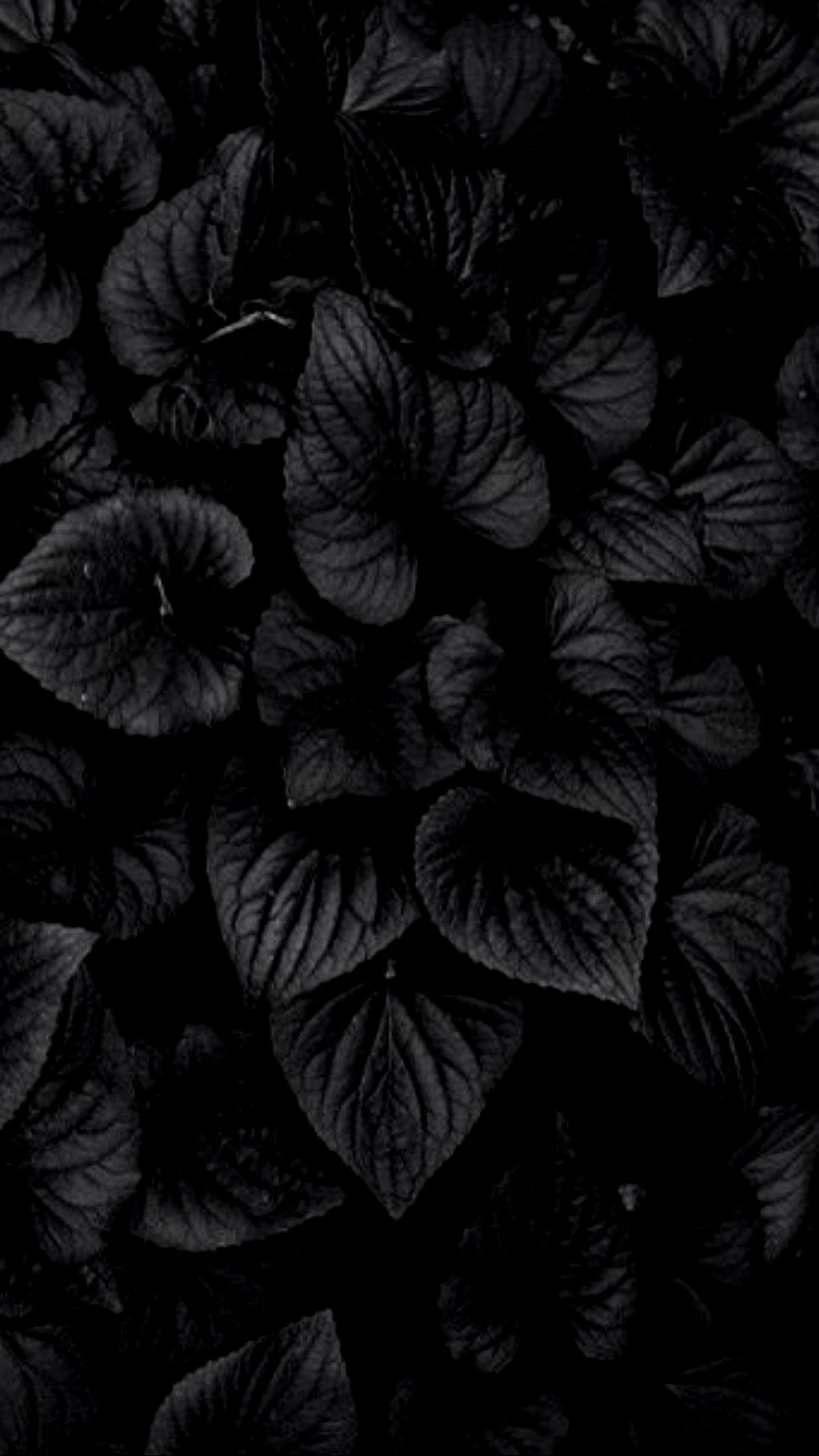 Download Flowers 4k Ultra Hd Dark Phone Wallpaper