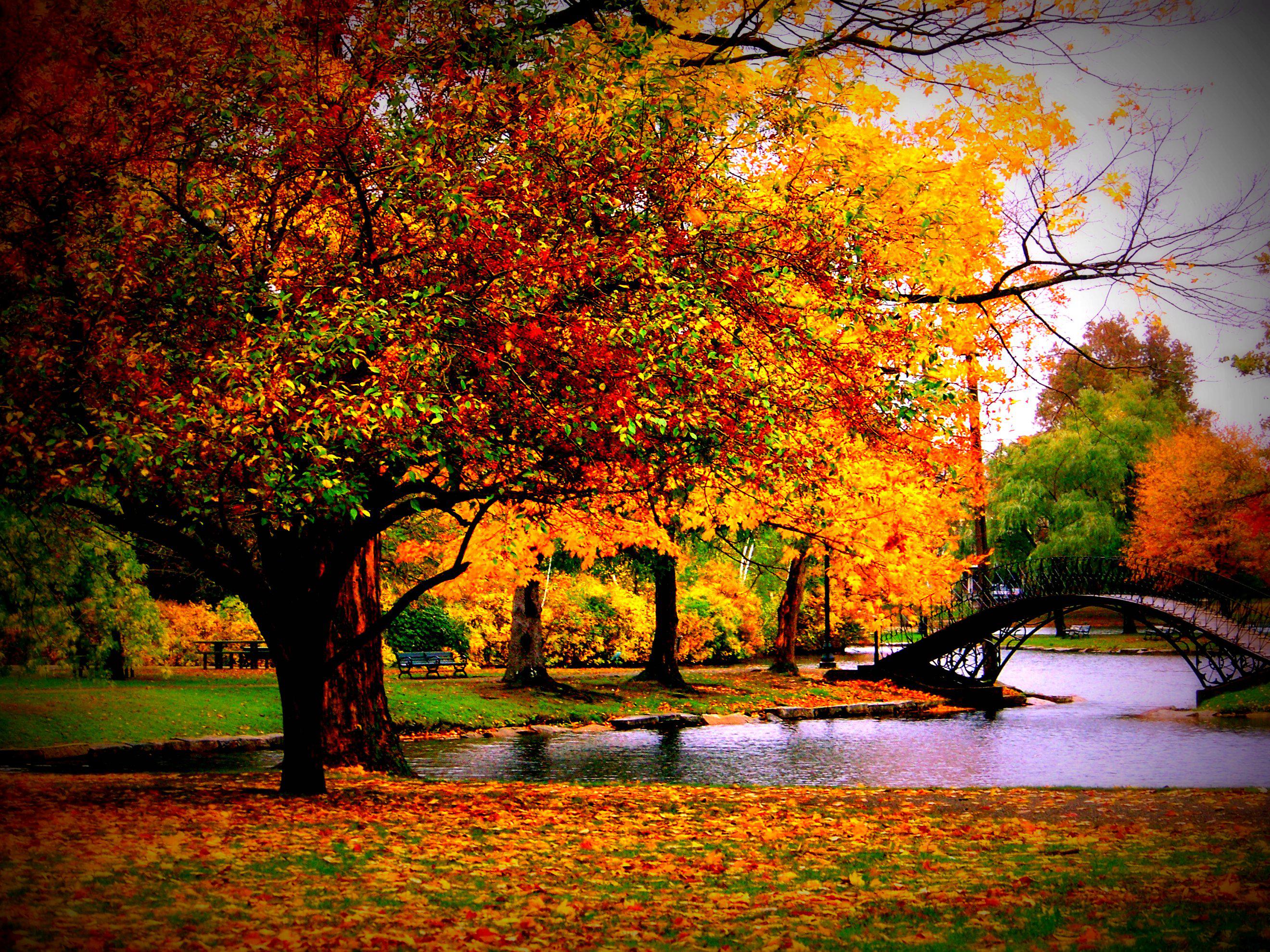 Fall Season Scenery Desktop Wallpaper Of Atlanta