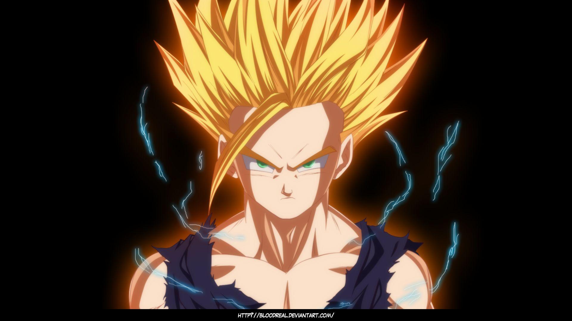 Dragon Ball Z Super Gohan. Gohan