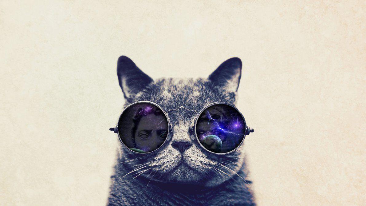 Kat Wallpapers - Wallpaper Cave