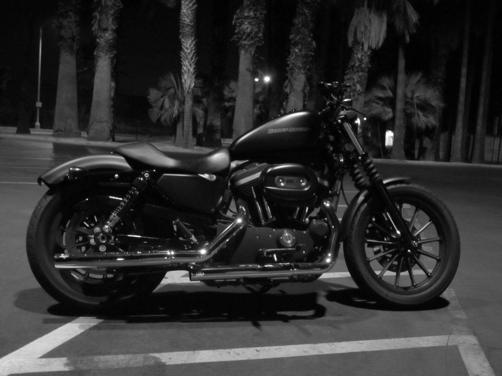 Iron 883 Wallpaper