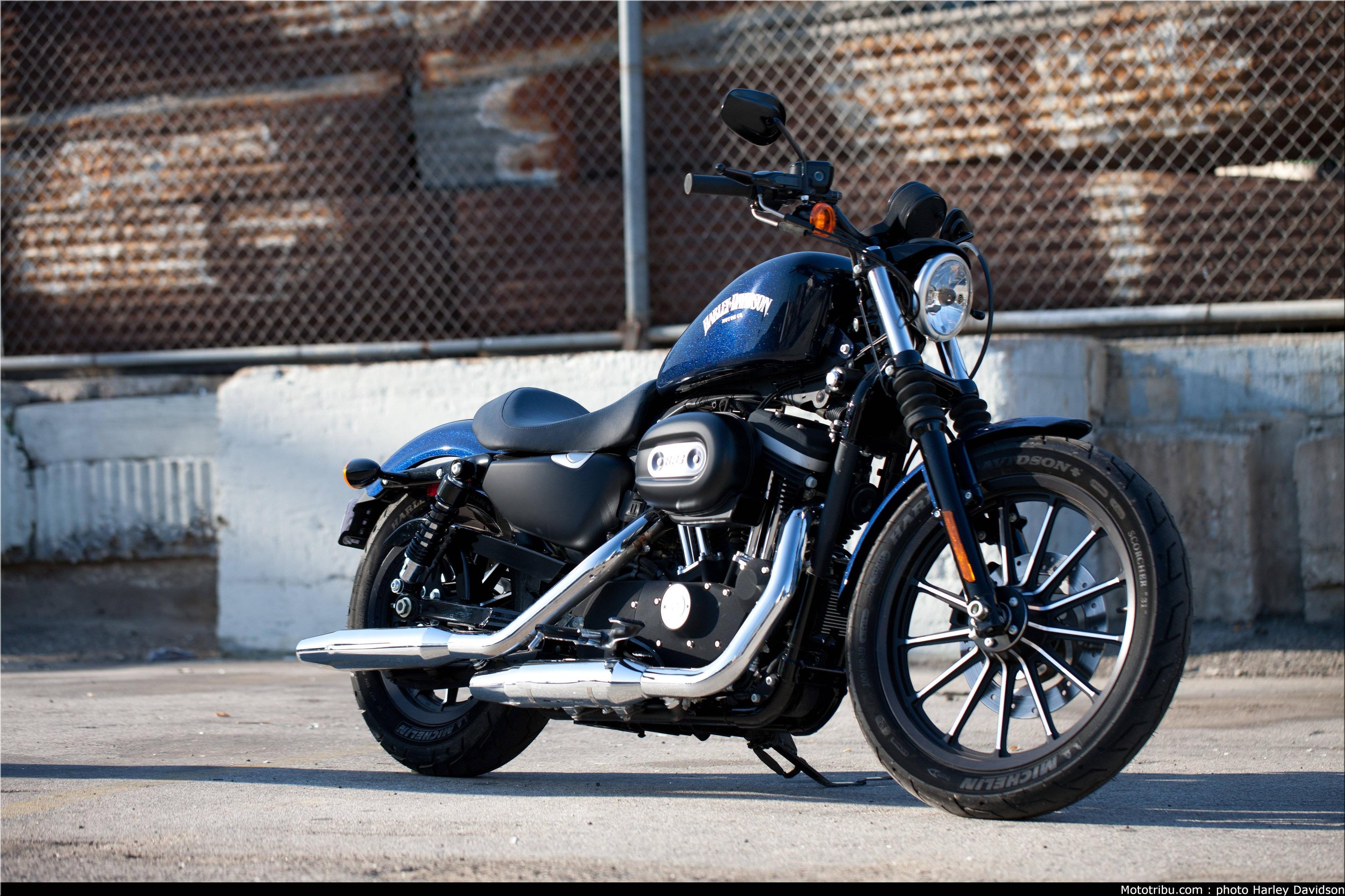 Wallpaper 2015 Harley Davidson Iron 883