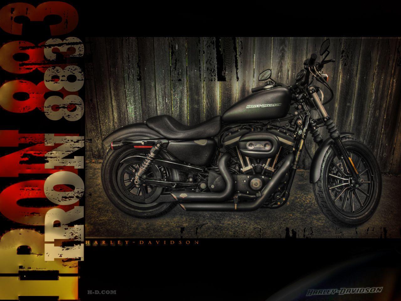 IRON 883 WALLPAPER HDR