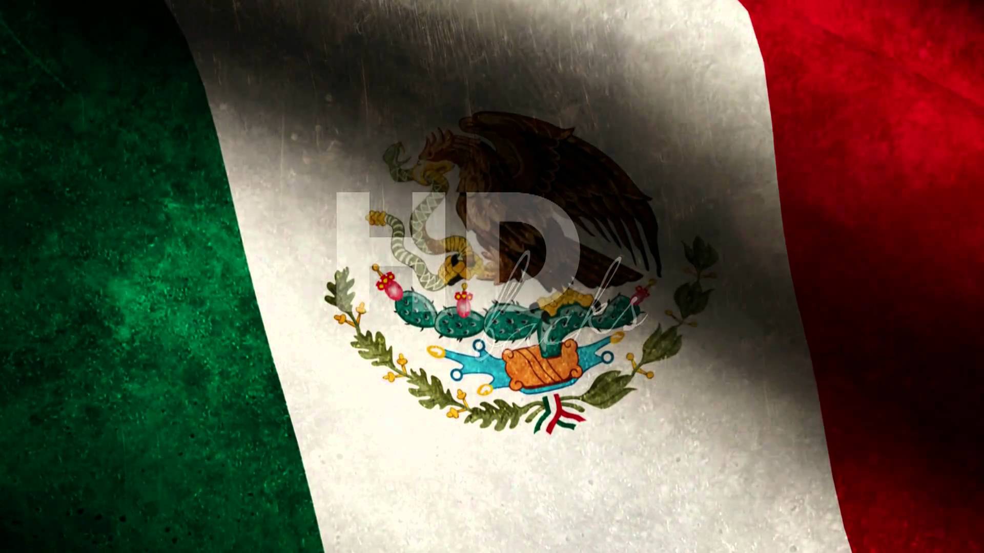 Mexico Flag Background Loop