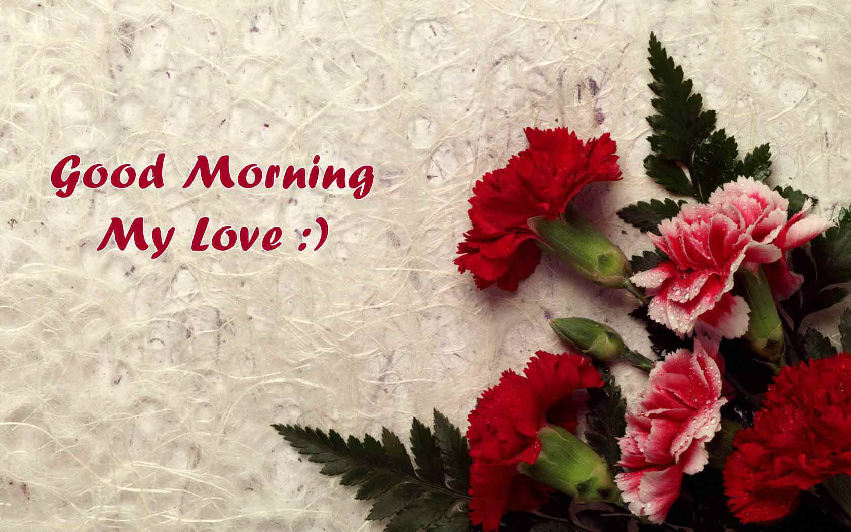 Best Romance Good Morning Wishes With Red Rose