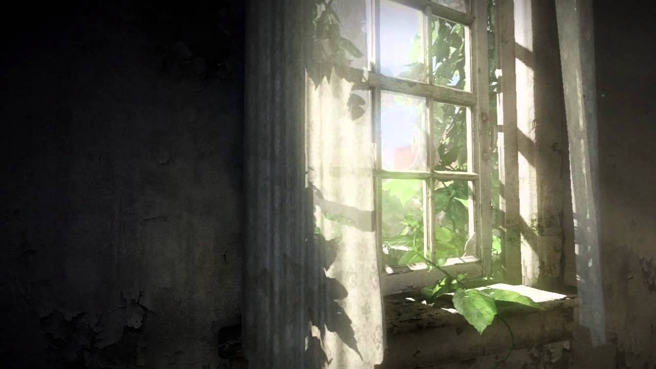 Last of Us Pane - [Live Wallpaper] - (HD)