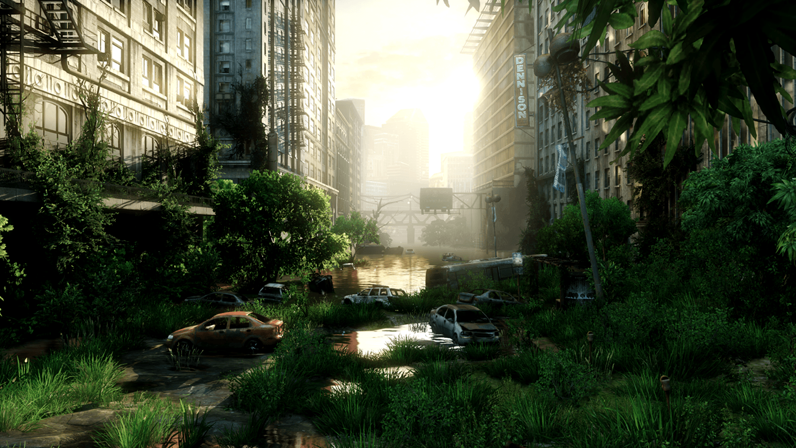 The last of us #wallpaper