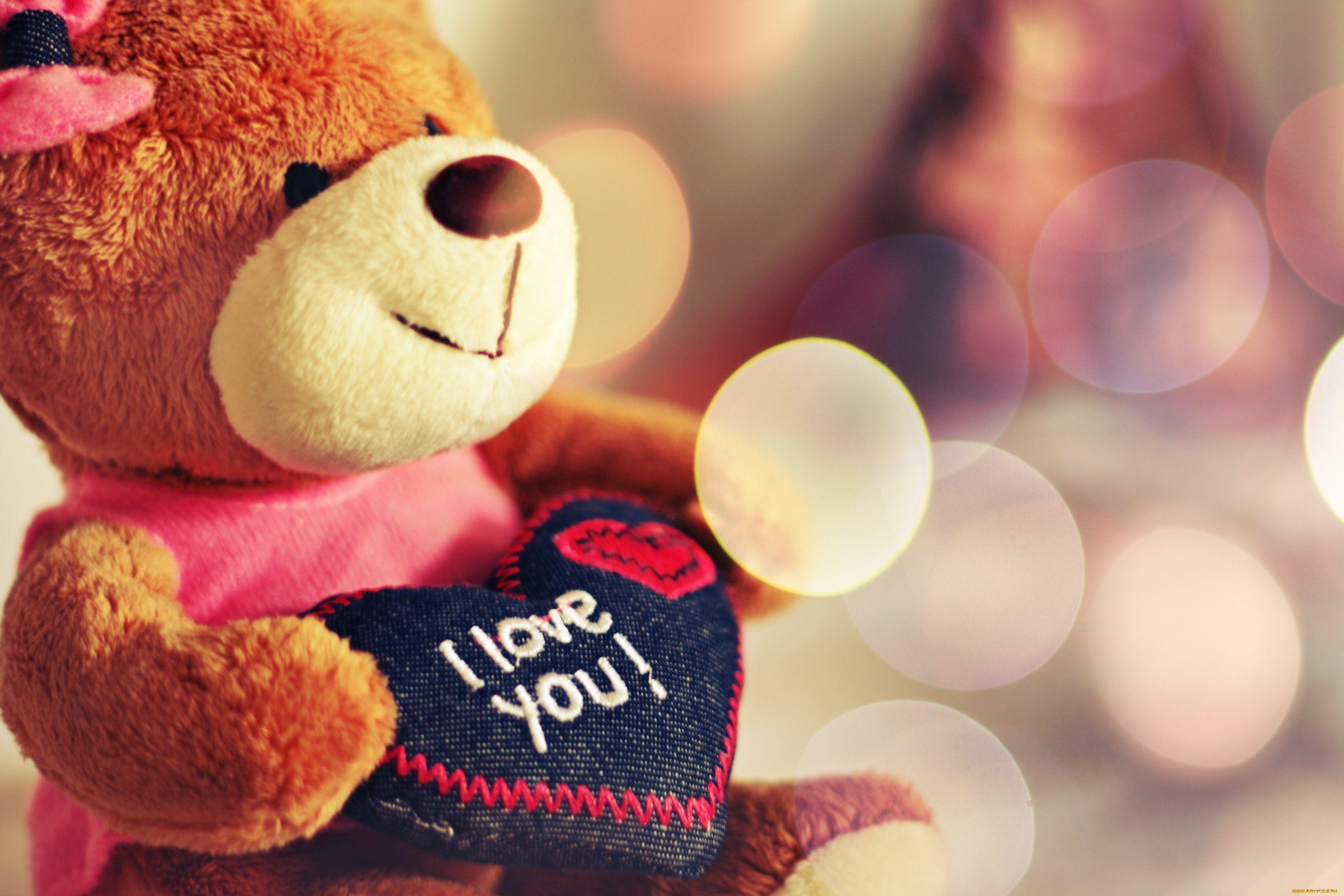 Valentines day teddy bear - Happy Valentines Day Quotes
