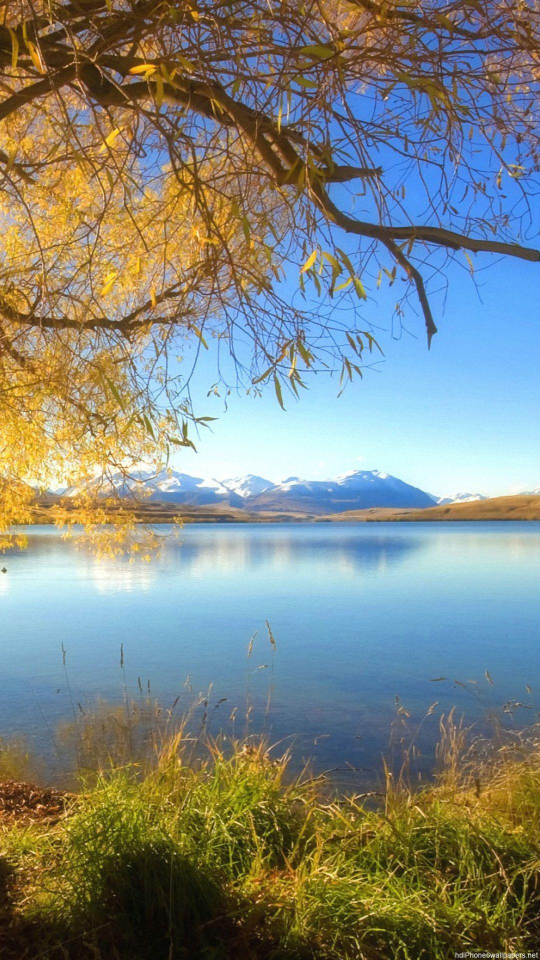 Hd vertical wallpaper Gallery