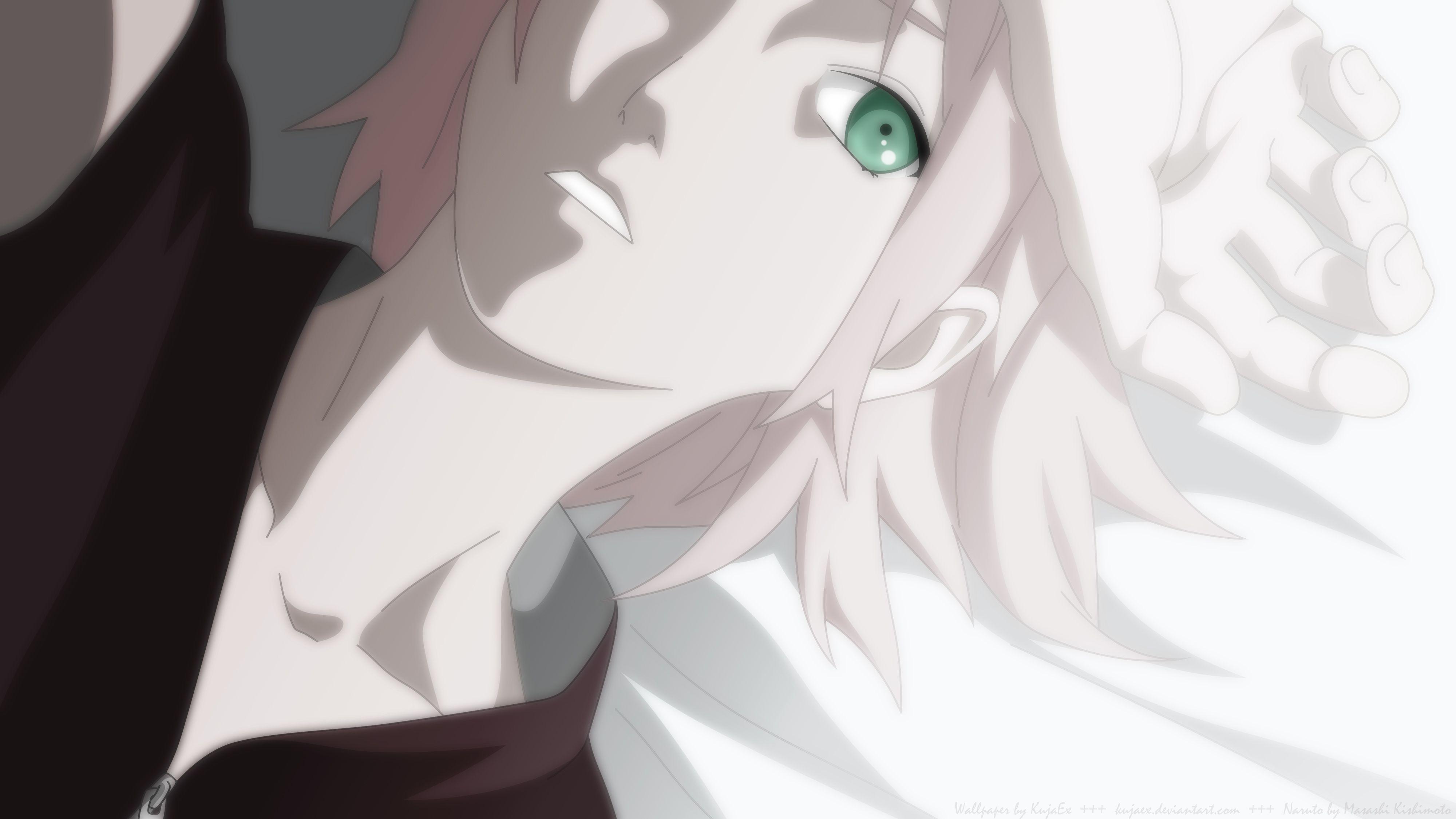 Sakura Haruno HD Wallpaper and Background Image