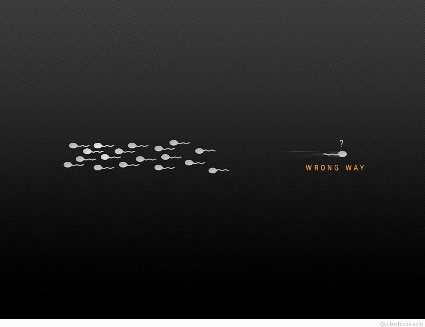 Best Quotes Wallpapers HD Wallpaper Cave