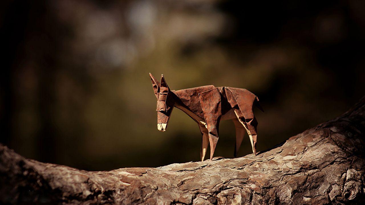 Donkey Wallpapers - Wallpaper Cave