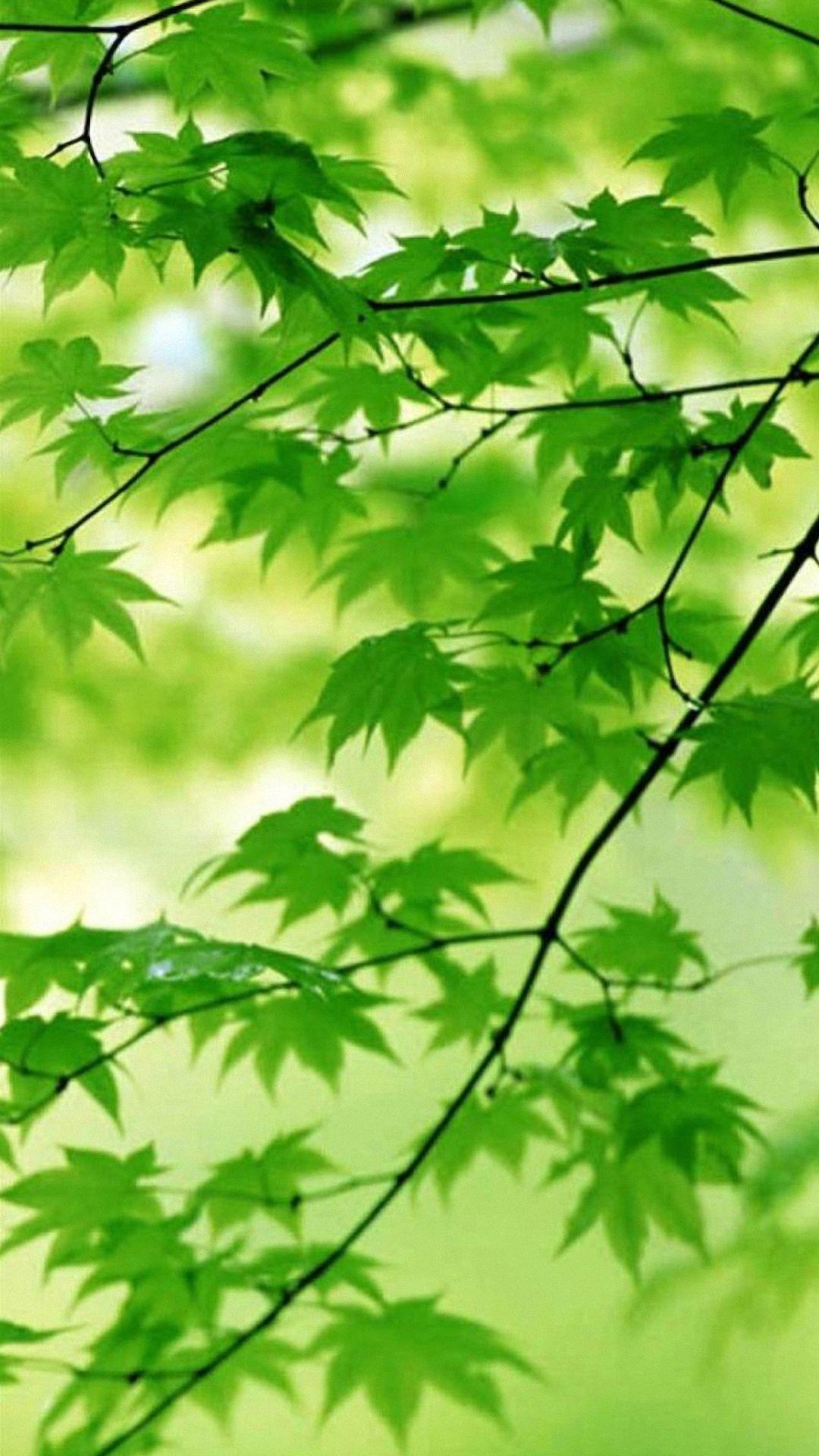 New Wallpapers For Mobile HD Wallpaper Cave