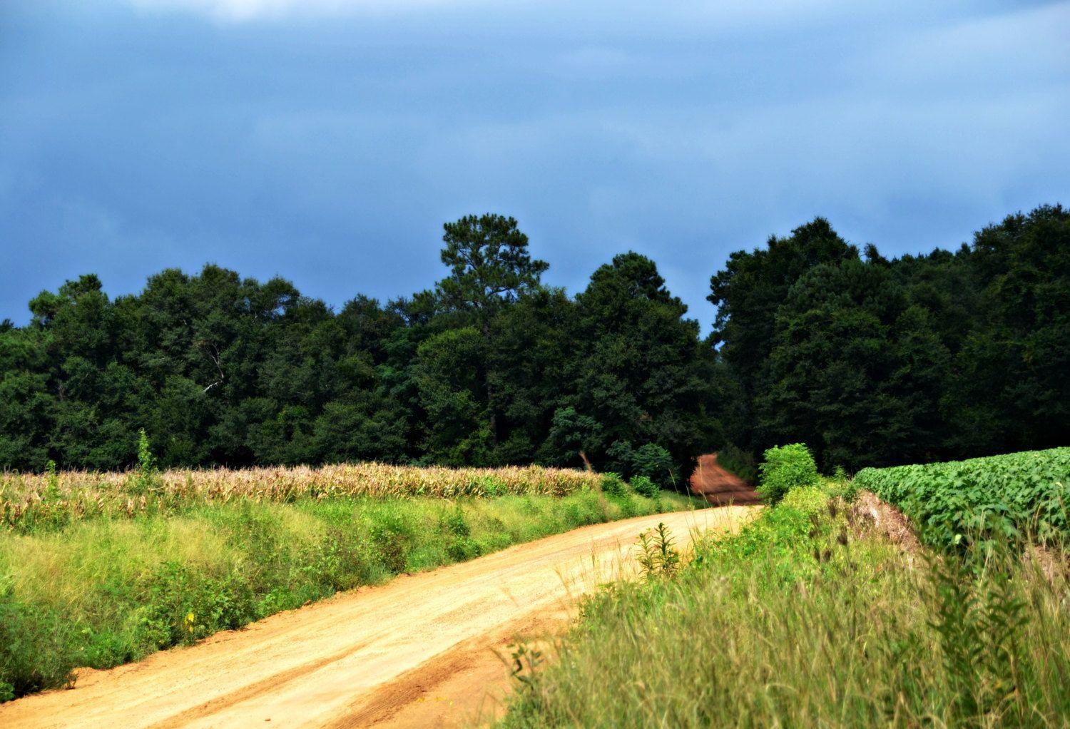Instant Download Storm Clouds over Dirt Road Picture or