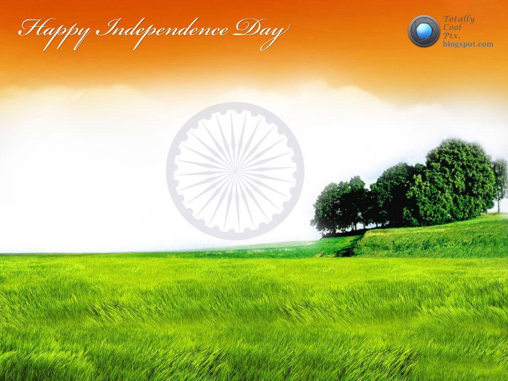 Big Picture. photography inspiration. funny image etc Just