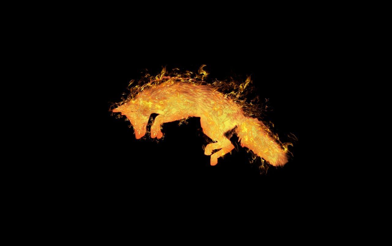 Fire Fox wallpaper. Fire Fox