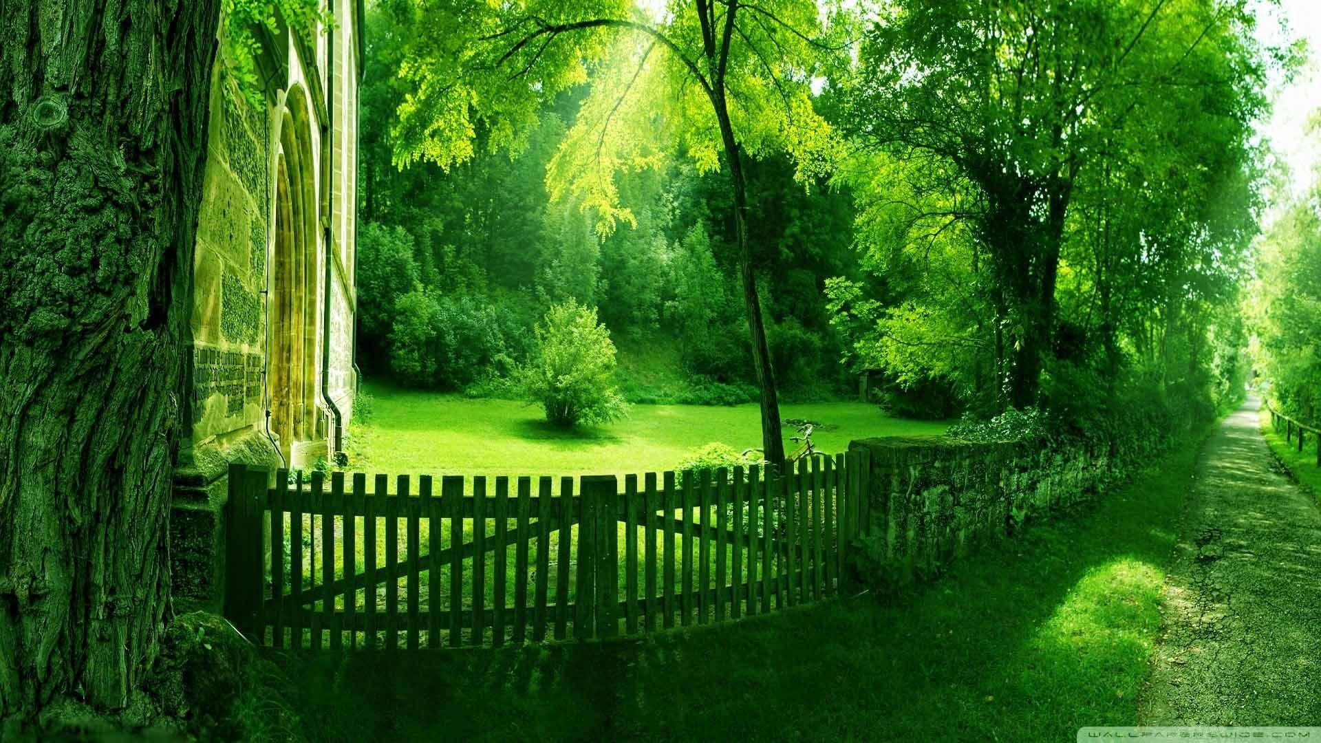 Awesome Computer Nature Wallpaper High Quality Resolution