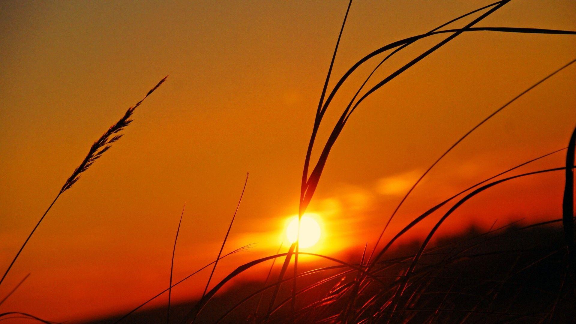 Sunset HD Image Free Download
