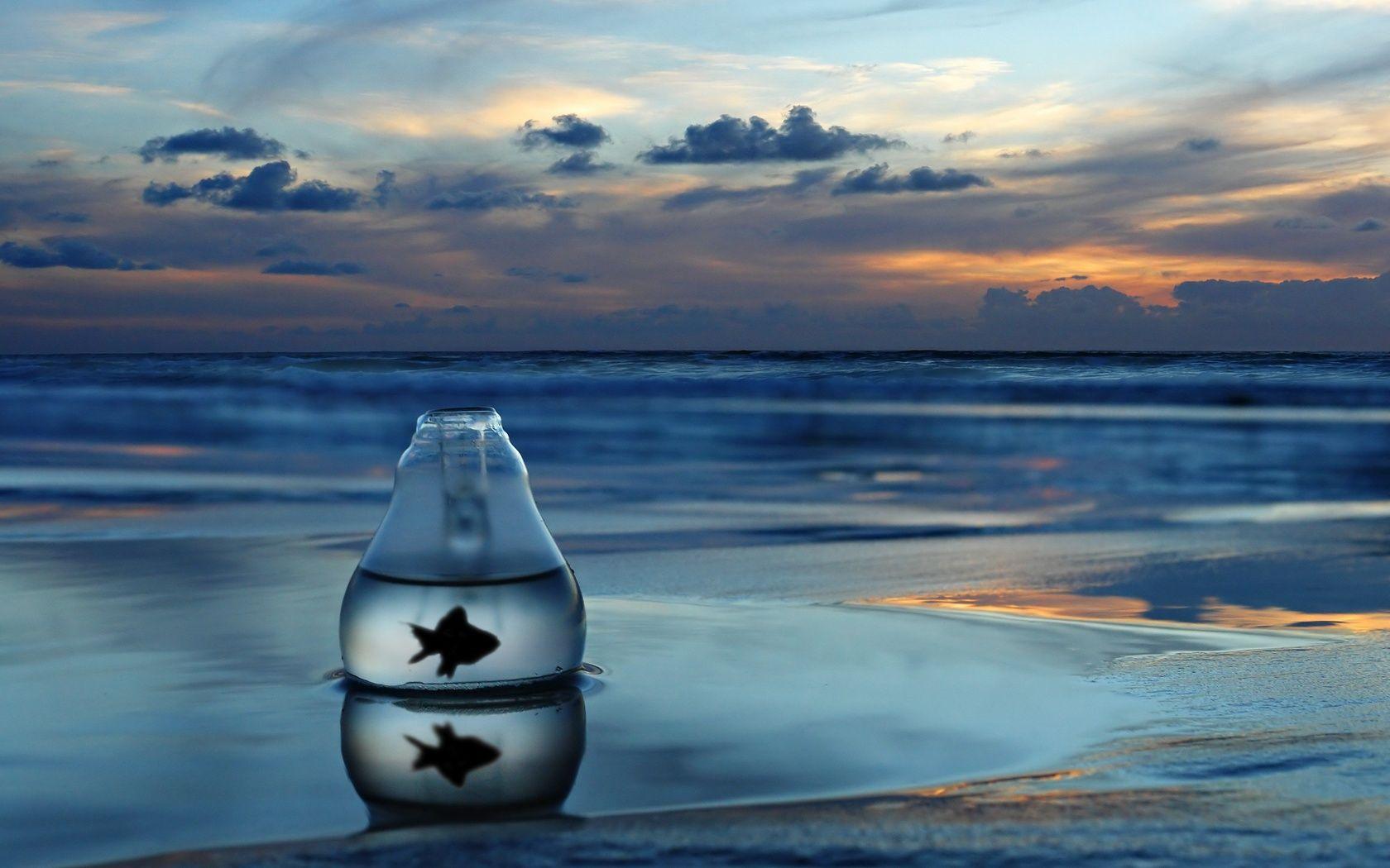 Fishes, People, Lonely, Mood, Emotion, Sadness, Sad