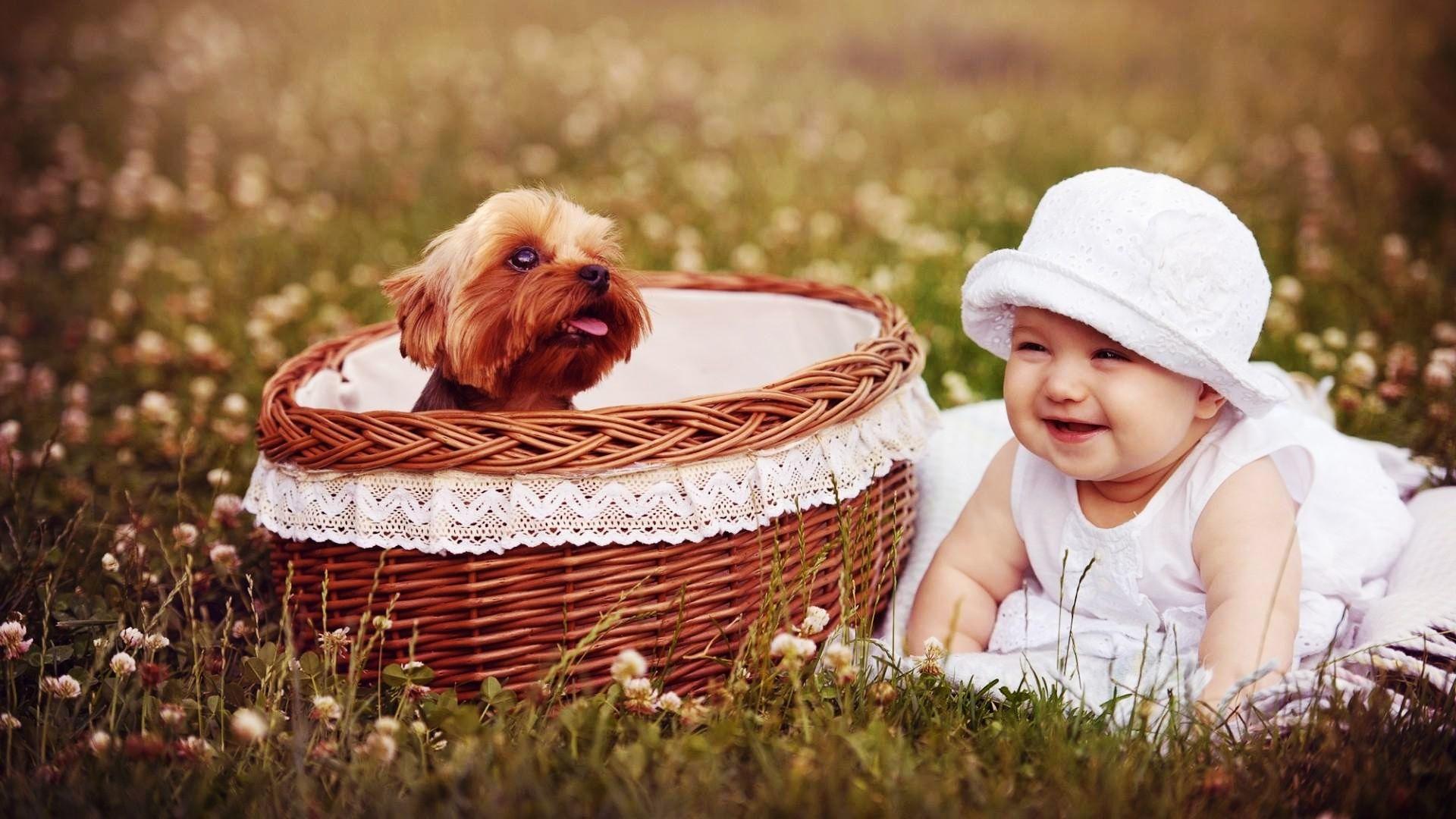 Cute Babies HD Image Background High Quality For Laptop Cutest