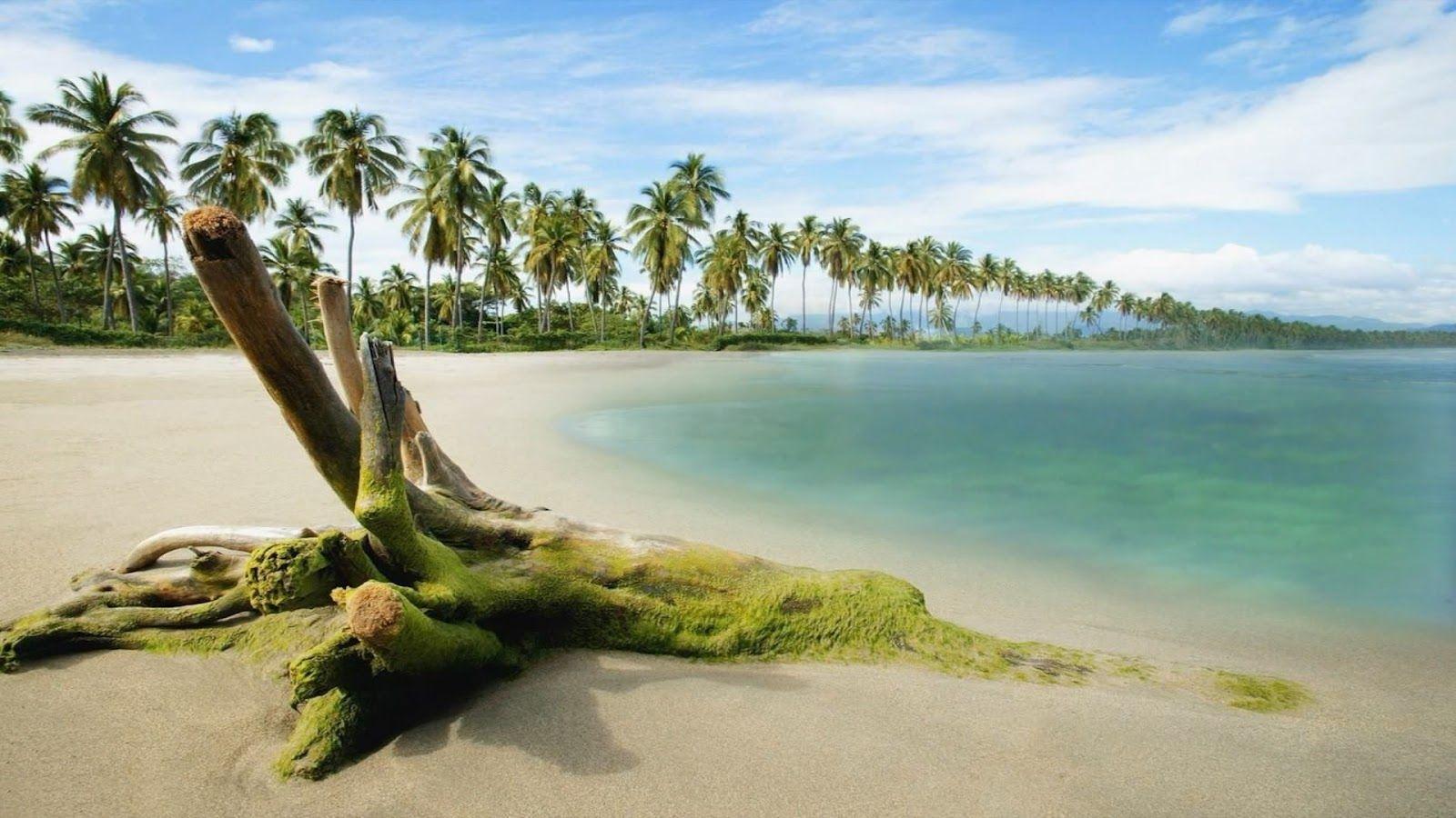 sweetcouple: Beautiful Romantic Beach Full HD Real Nature Background