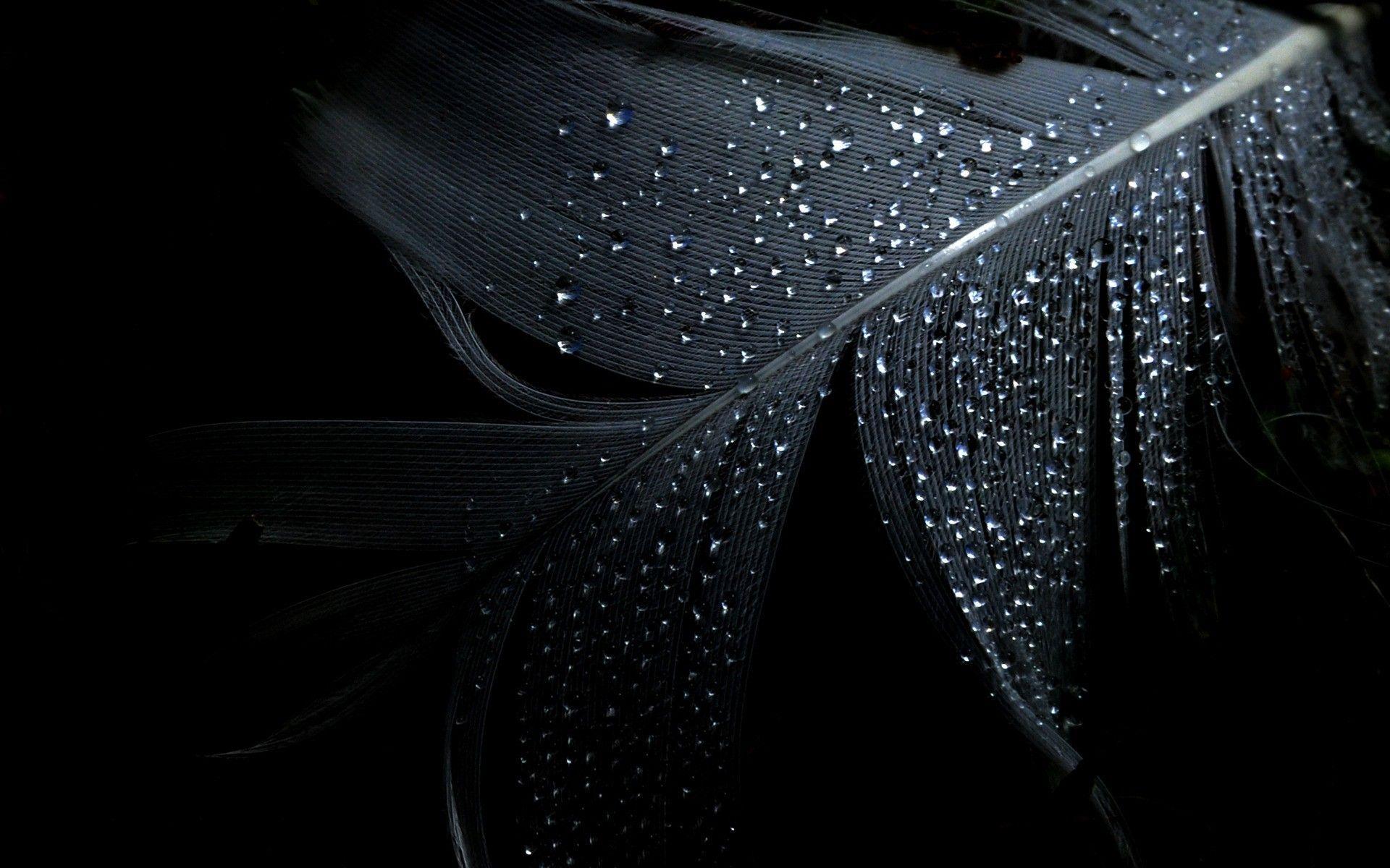 and wet. Black desktop background, Black background wallpaper