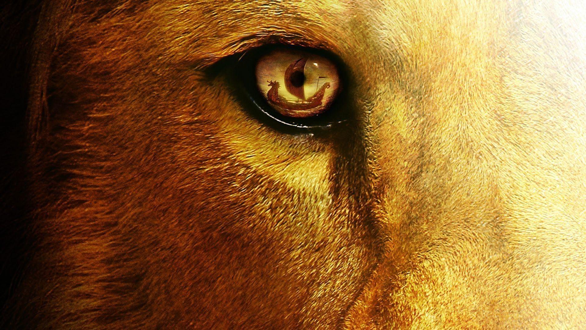 Angry Lion Eyes Wallpaper