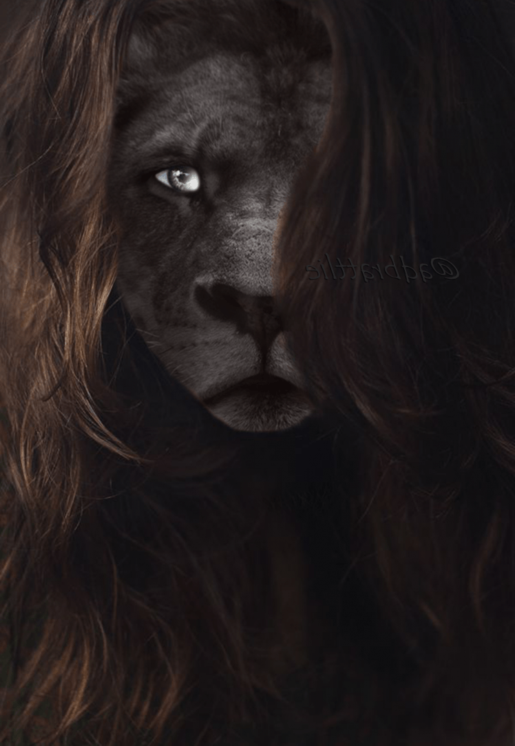 Lion eyes iphone HD wallpapers | Pxfuel