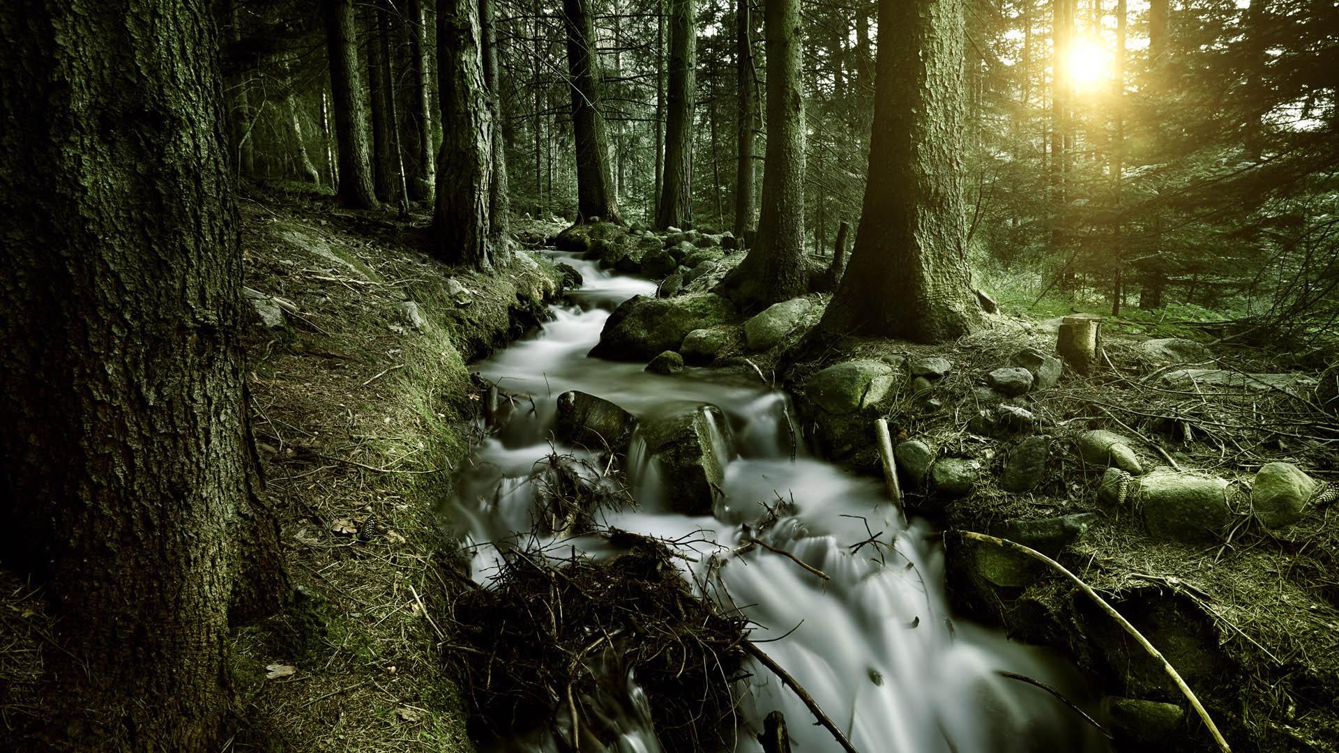 Full HD Wallpaper 1920x1080 Free Download