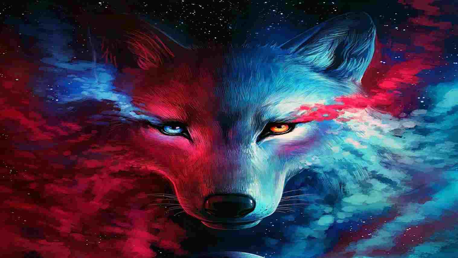 galaxy cool wolf wallpaper