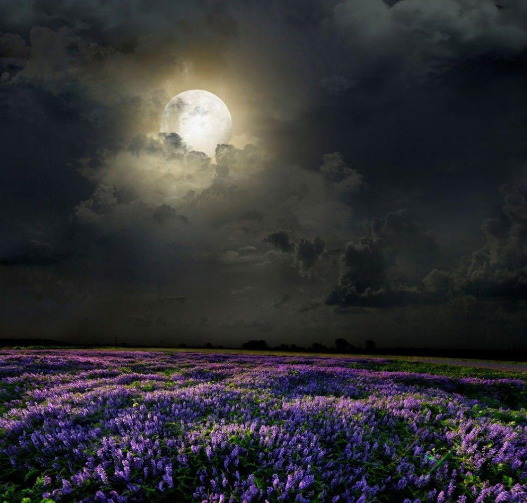 Fields: Field Element Moon Sky Nature Dark Night Love Background