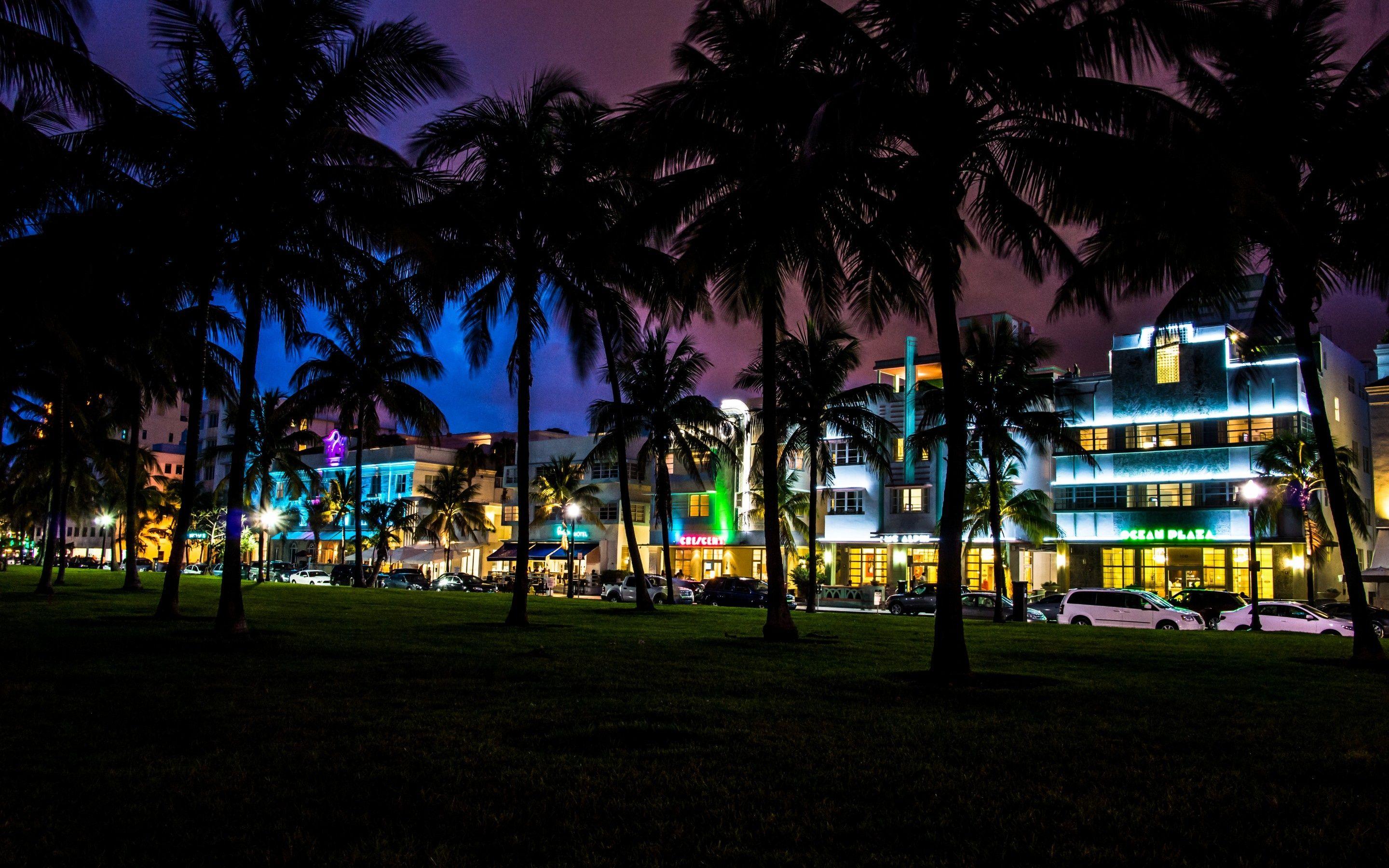 Wallpaper Miami, florida, South Beach, night, palm, car, house