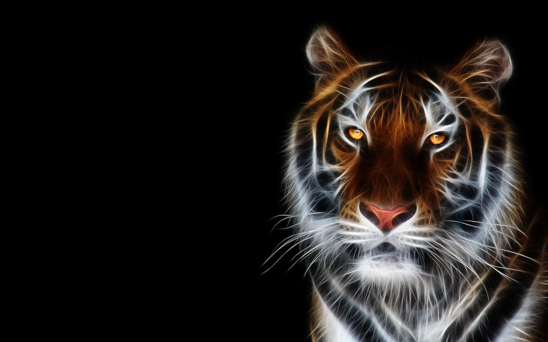 Photos Tigers Big cats 3D Graphics Snout Animals Staring 1920x1200