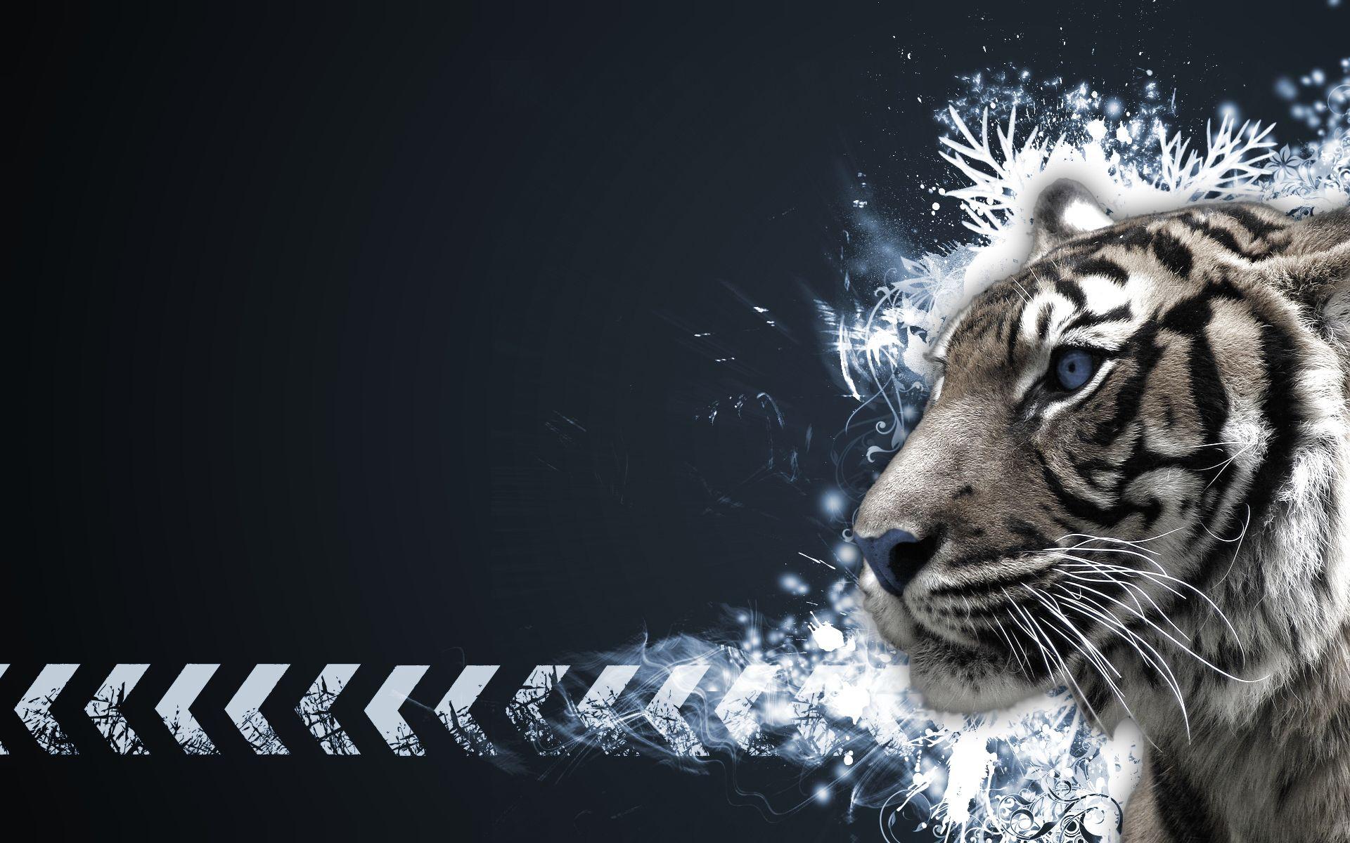 Tiger Background Abstract Wallpaper