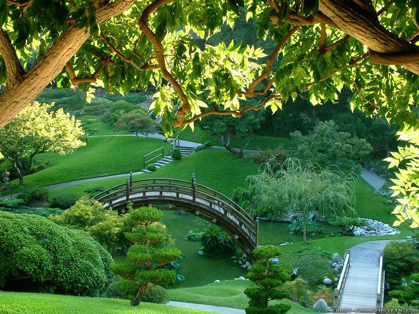 Download Beautiful Wallpaper 1. Best Collections of Top Wallpaper