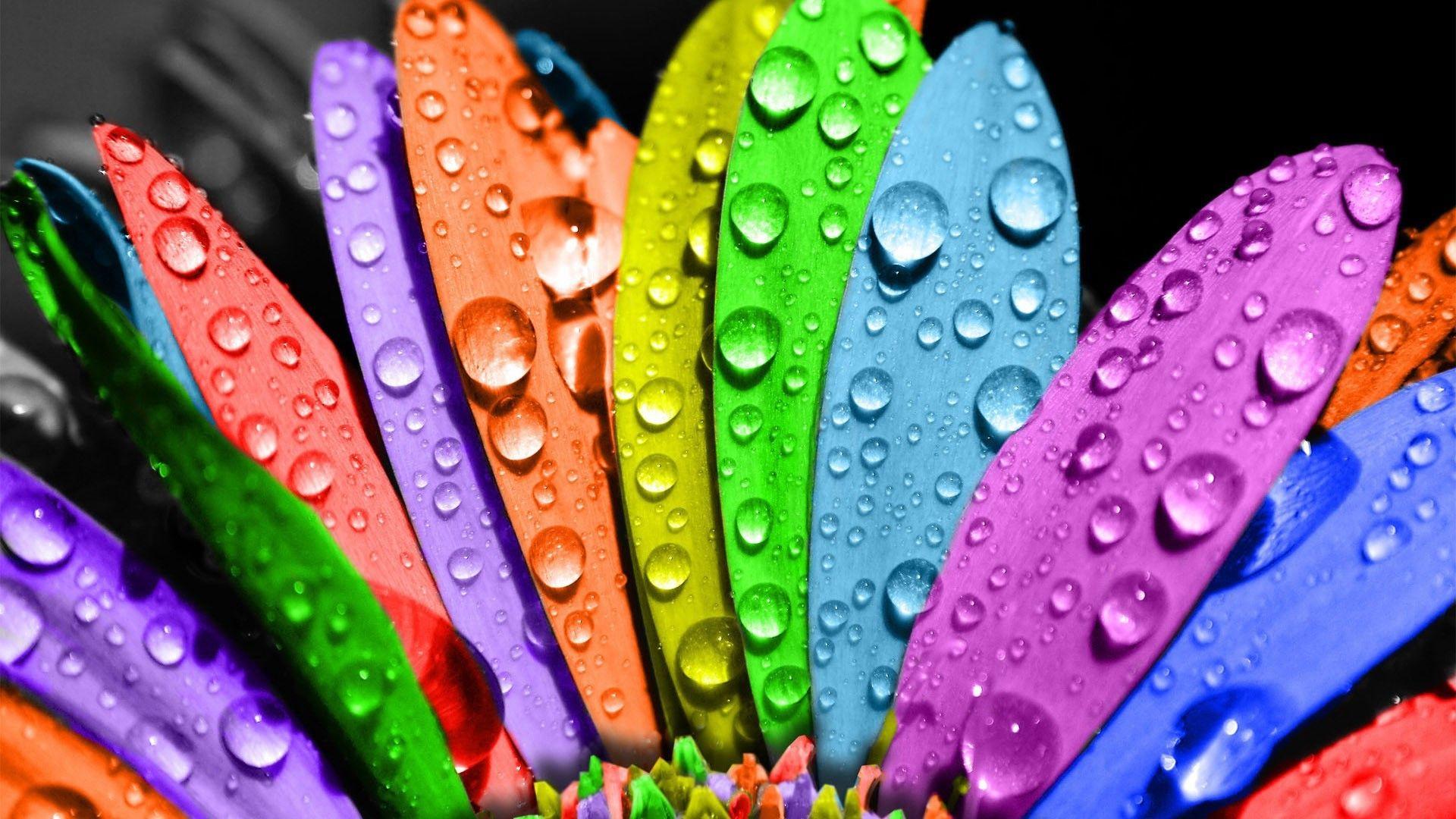 Cute Colorful Wallpaper 15113