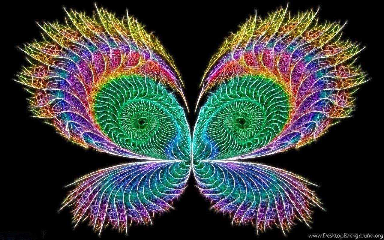 Butterfly Neon Colors Rock Wallpaper Fanpop Desktop