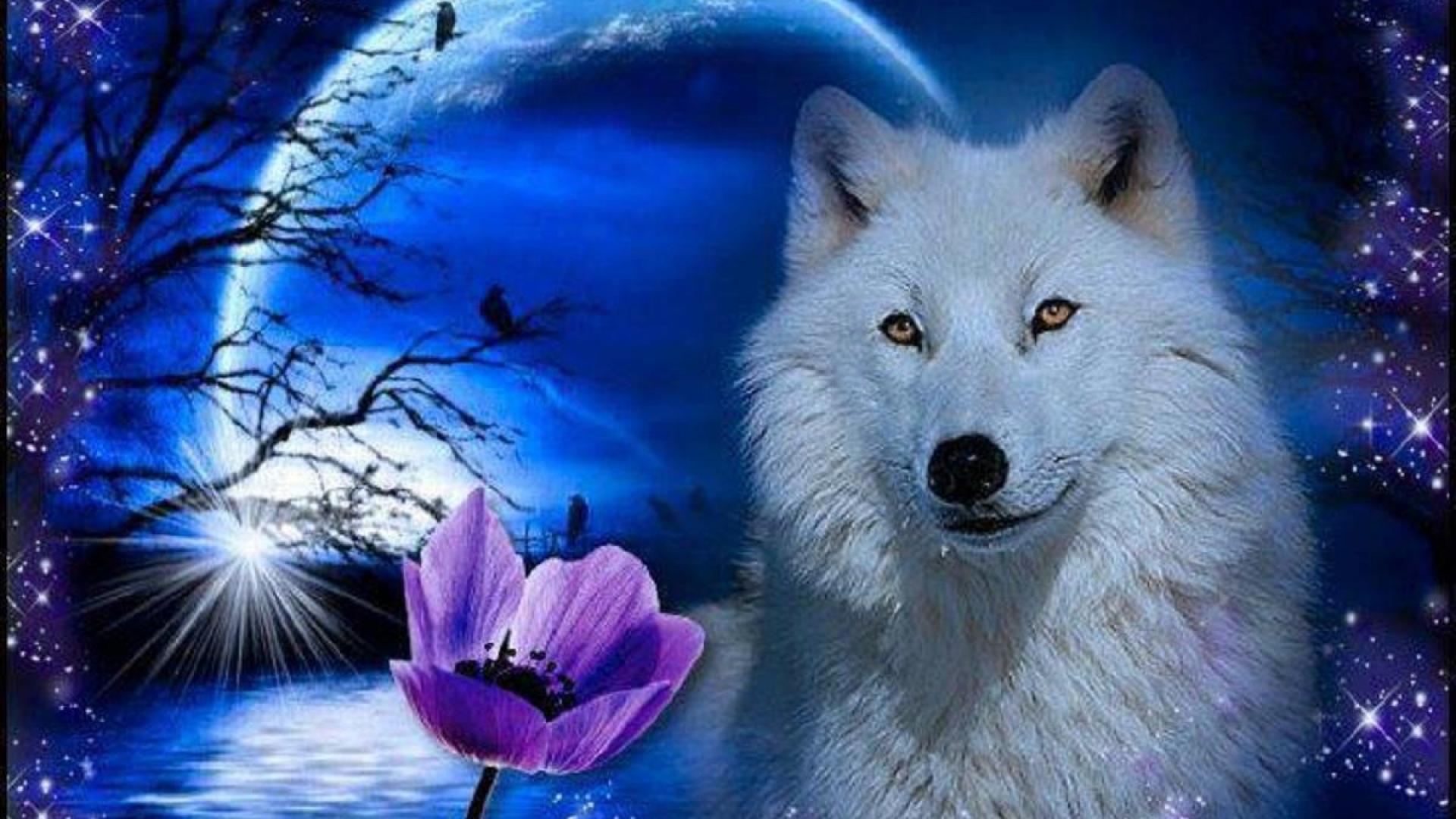 Wolf wallpaper free download Gallery