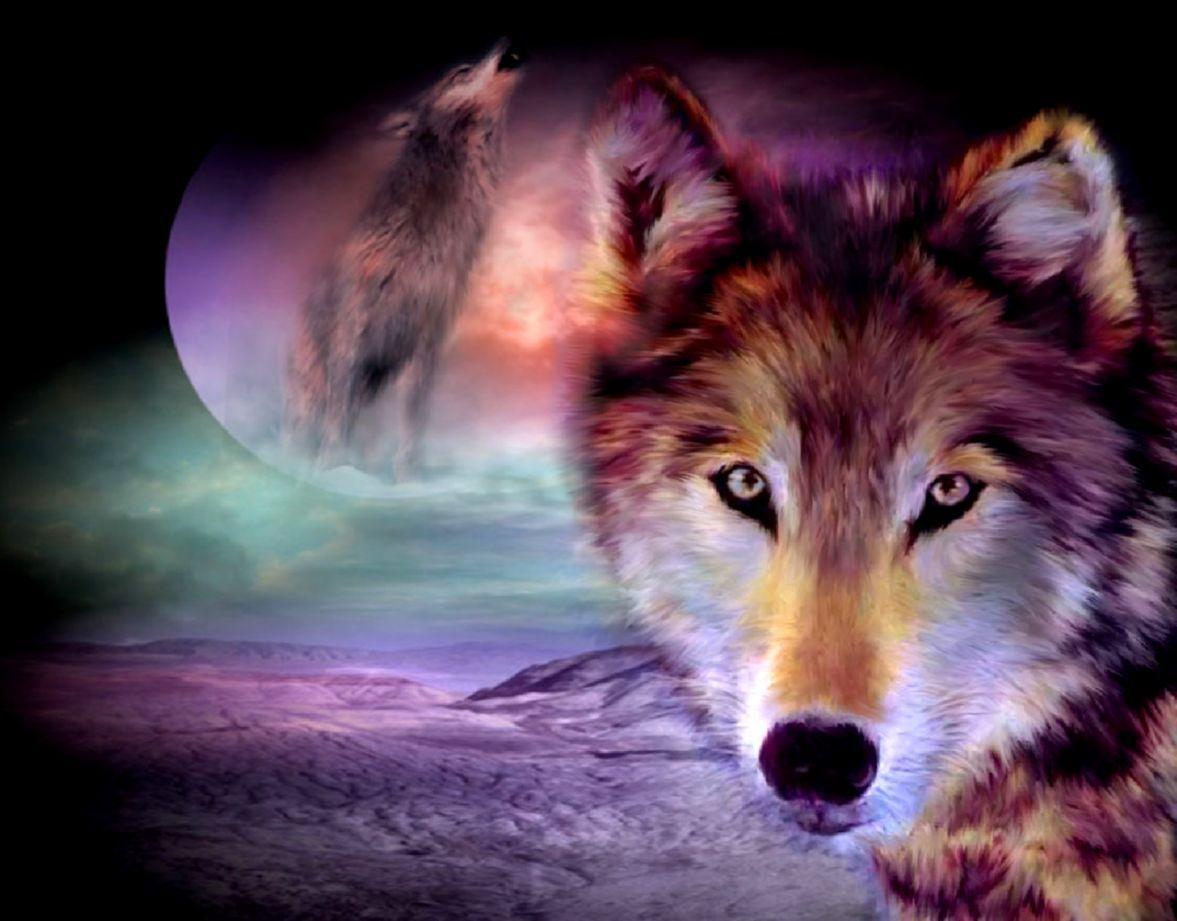 Wolf Wallpaper Desktop. Best Wallpaper HD Collection