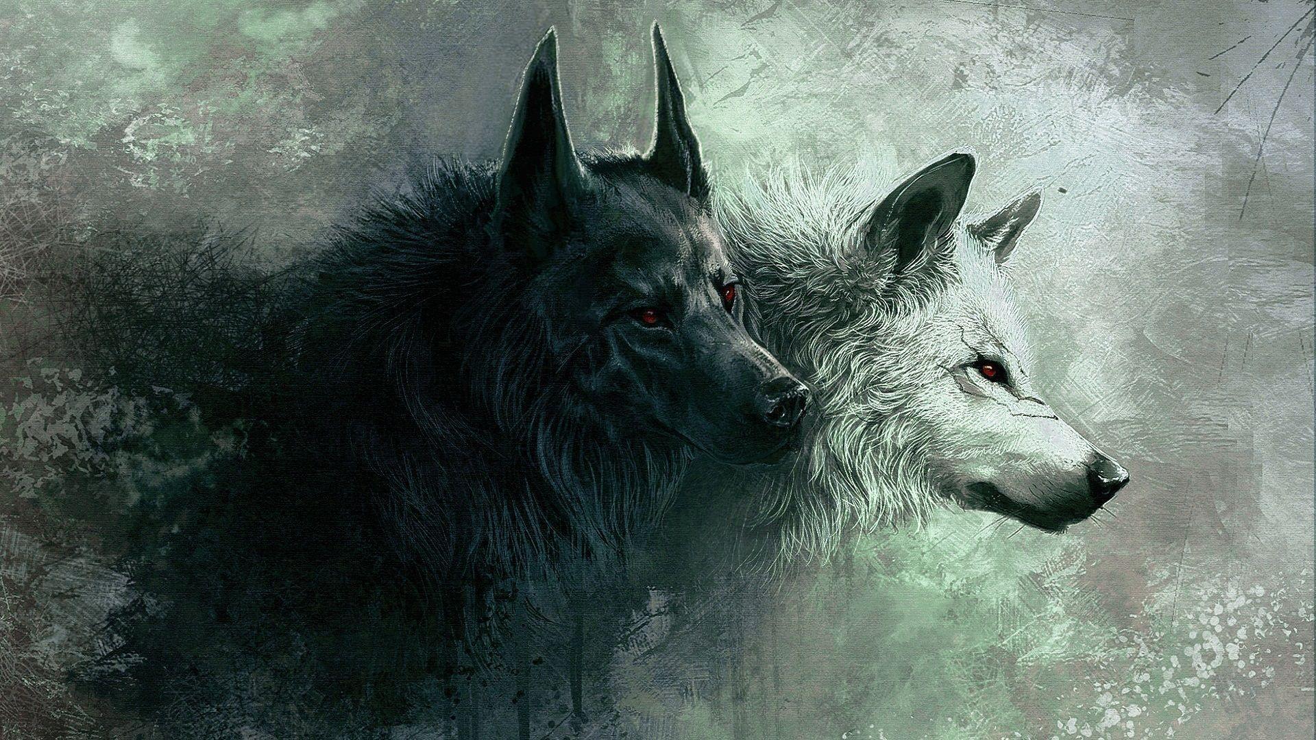 angry wolf wallpaper