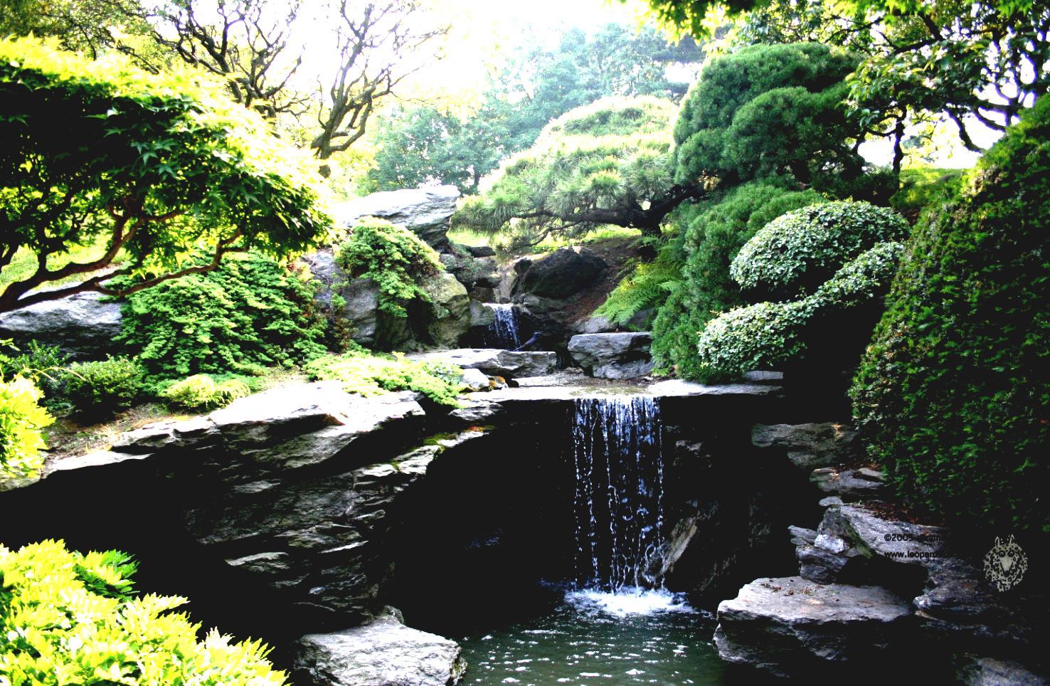 japanese water garden wallpaper