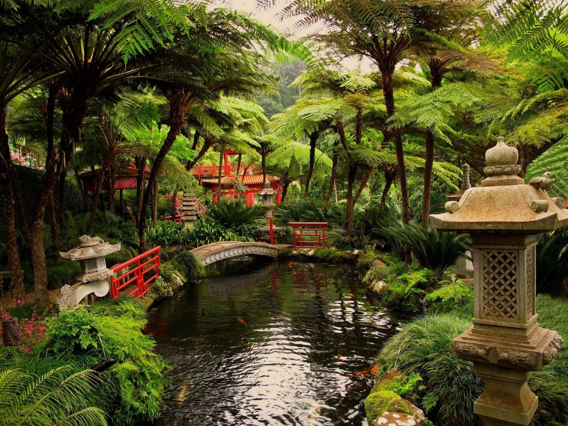 japanese water garden wallpaper