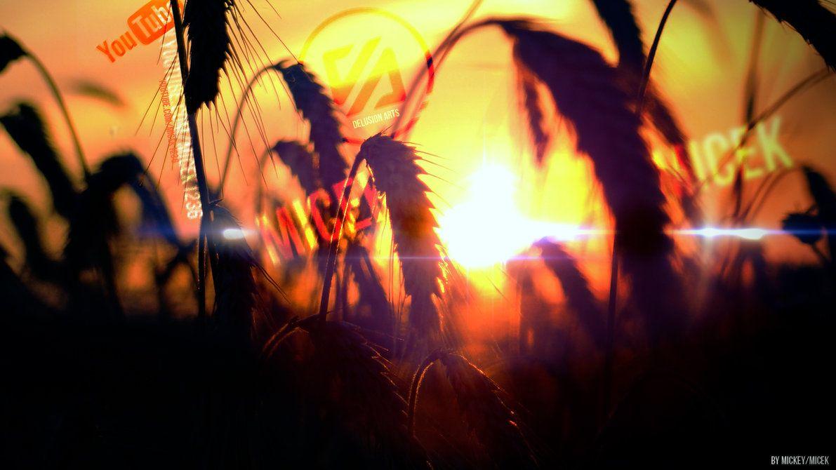 FB Timeline wallpaper