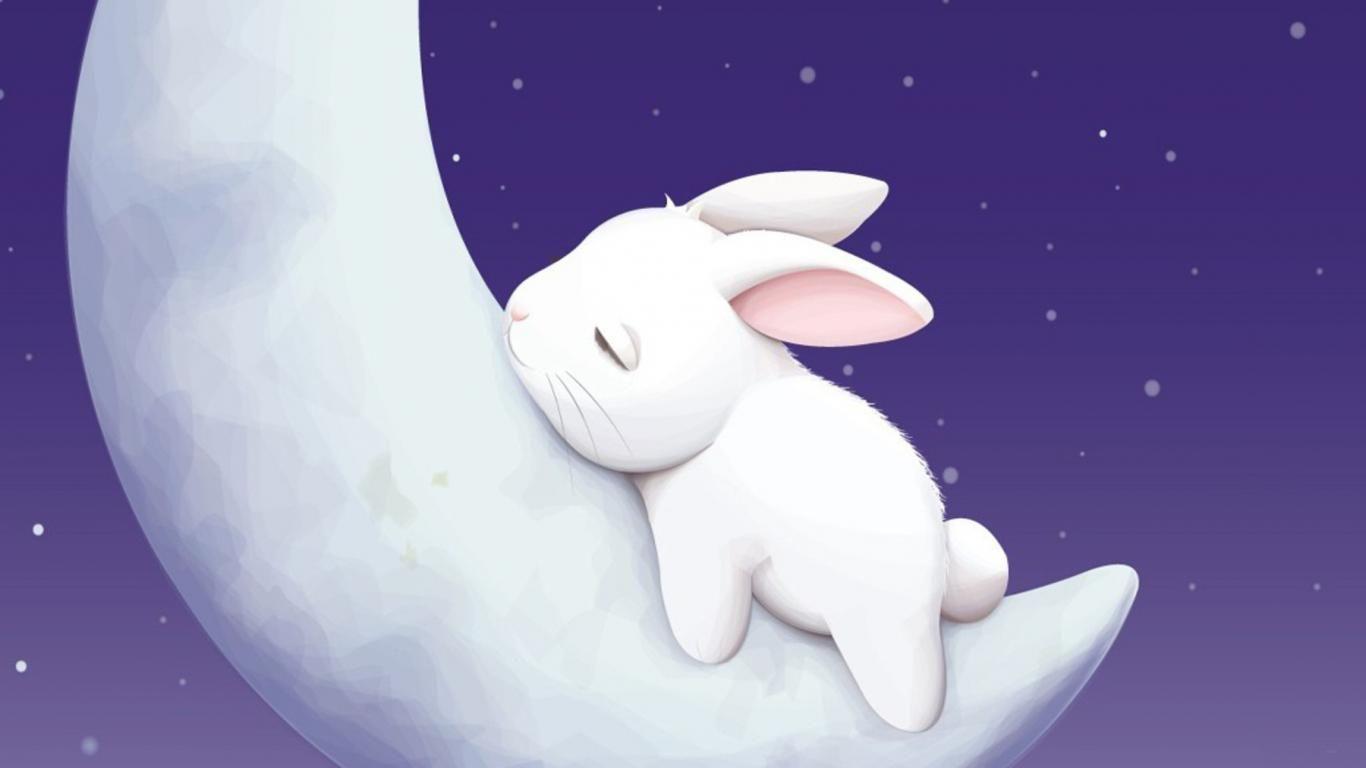 Cute Bunny Cartoon Wallpaper
