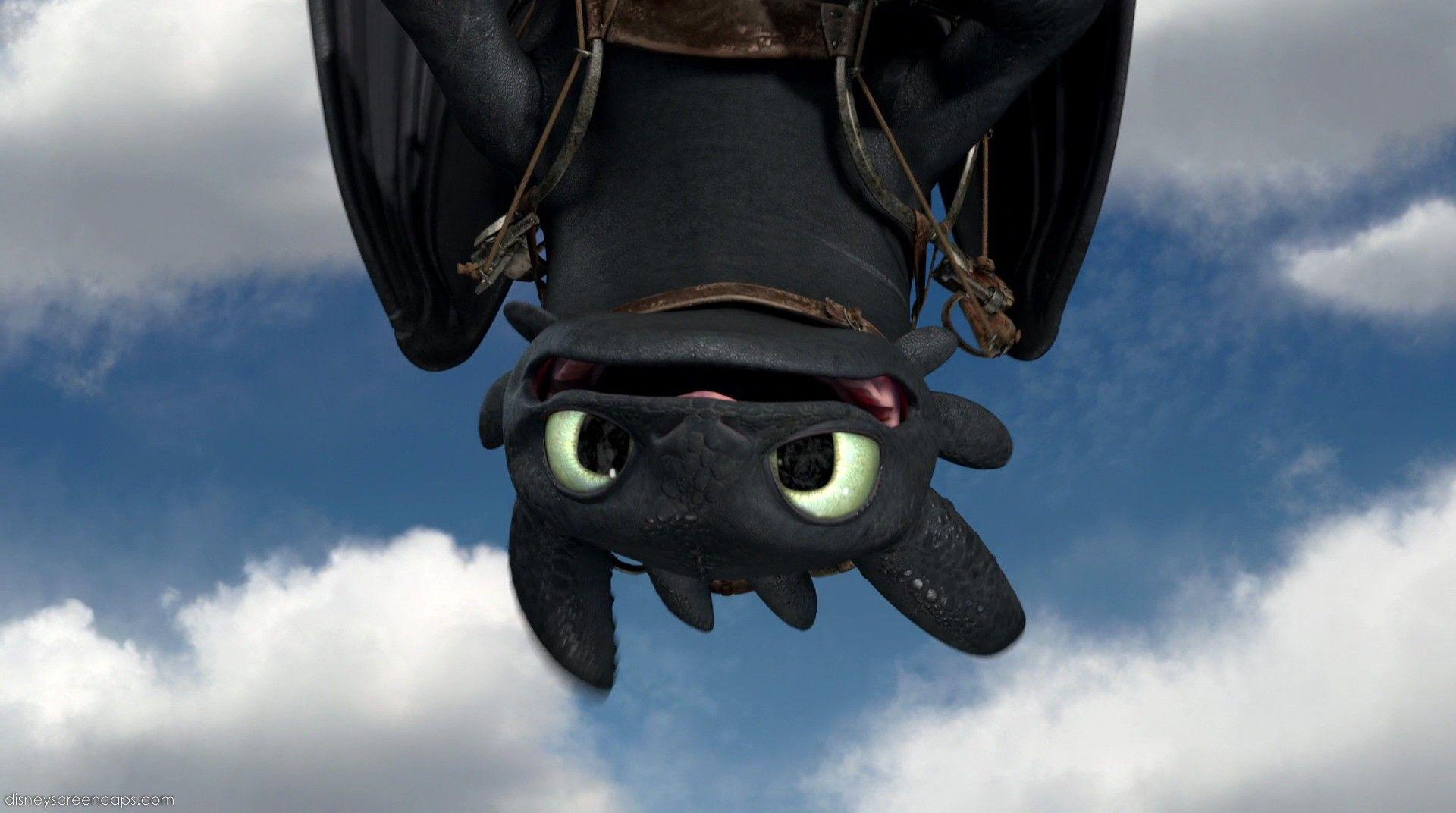 Toothless HD Background Download