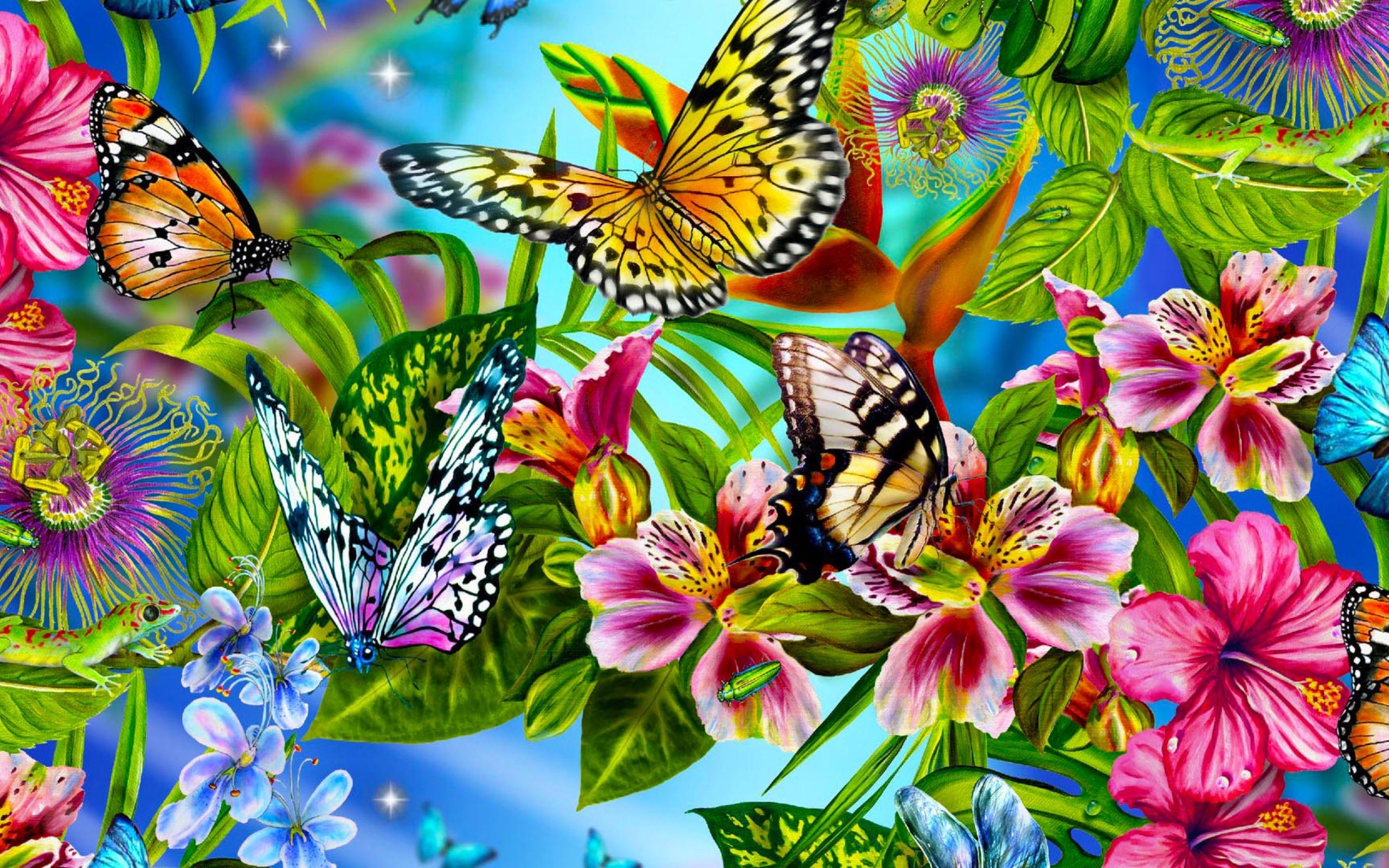 World Best Butterfly HD Wallpapers - Wallpaper Cave