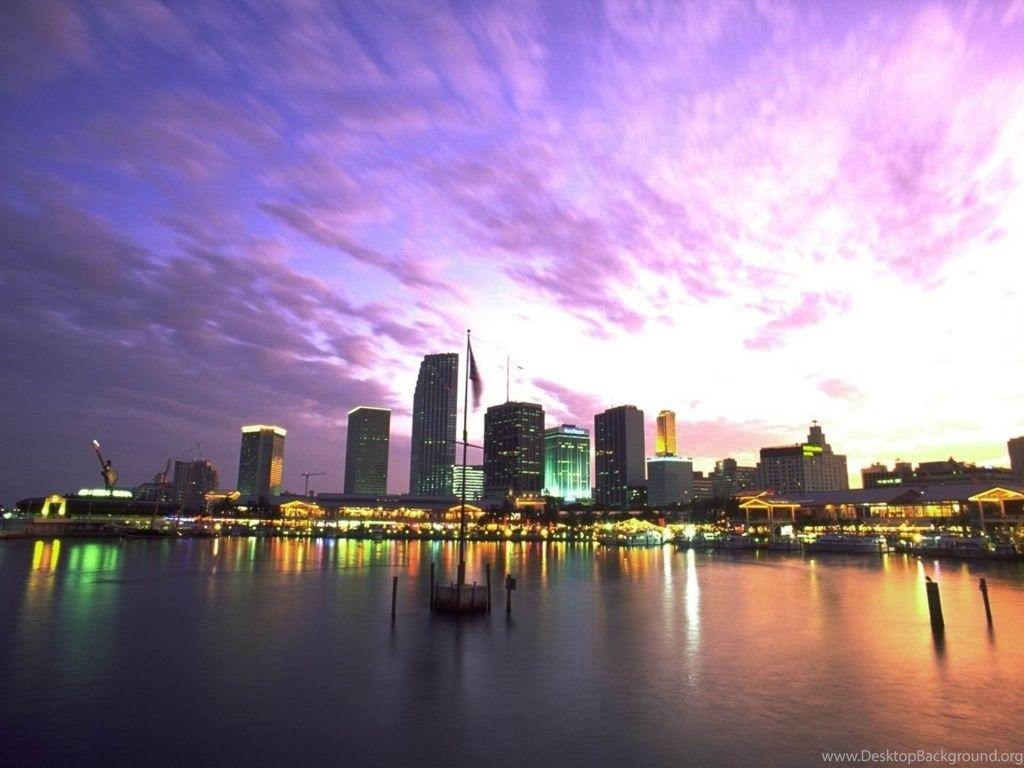 Miami Skyline High Resolution Desk HD Wallpaper Desktop