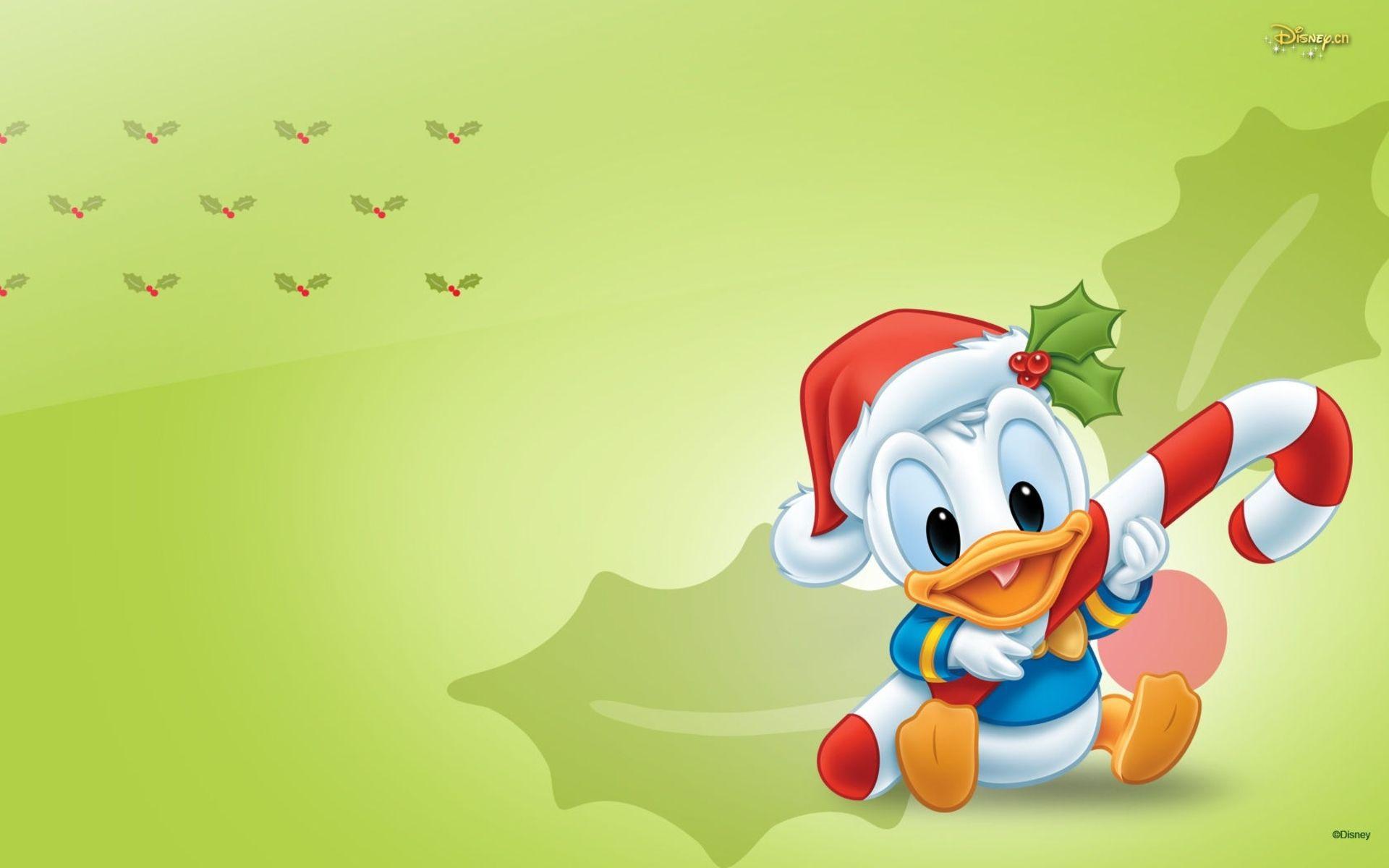 Cute Disney Baby Donald Duck Wallpaper. art. Duck