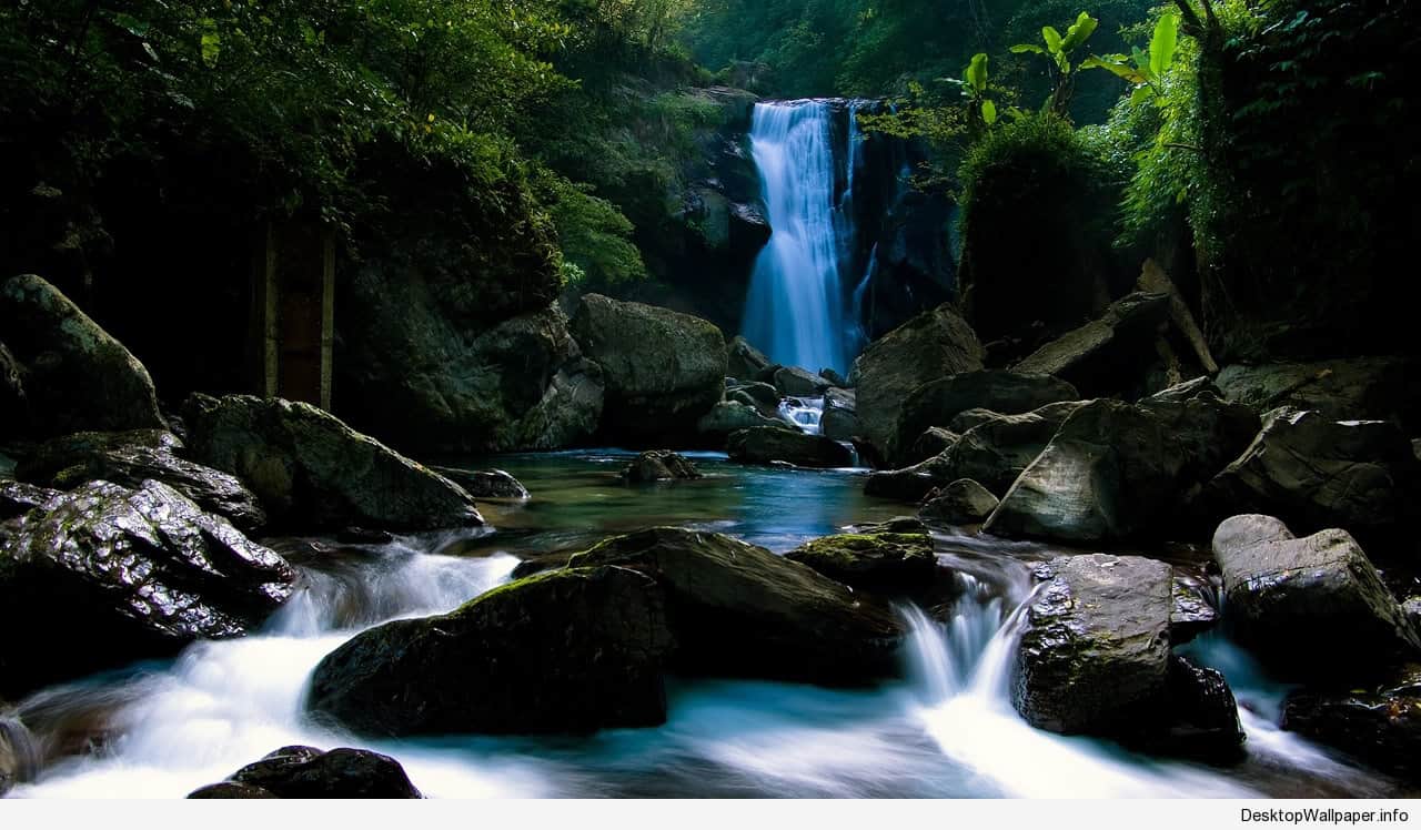 720×1280 HD wallpaper